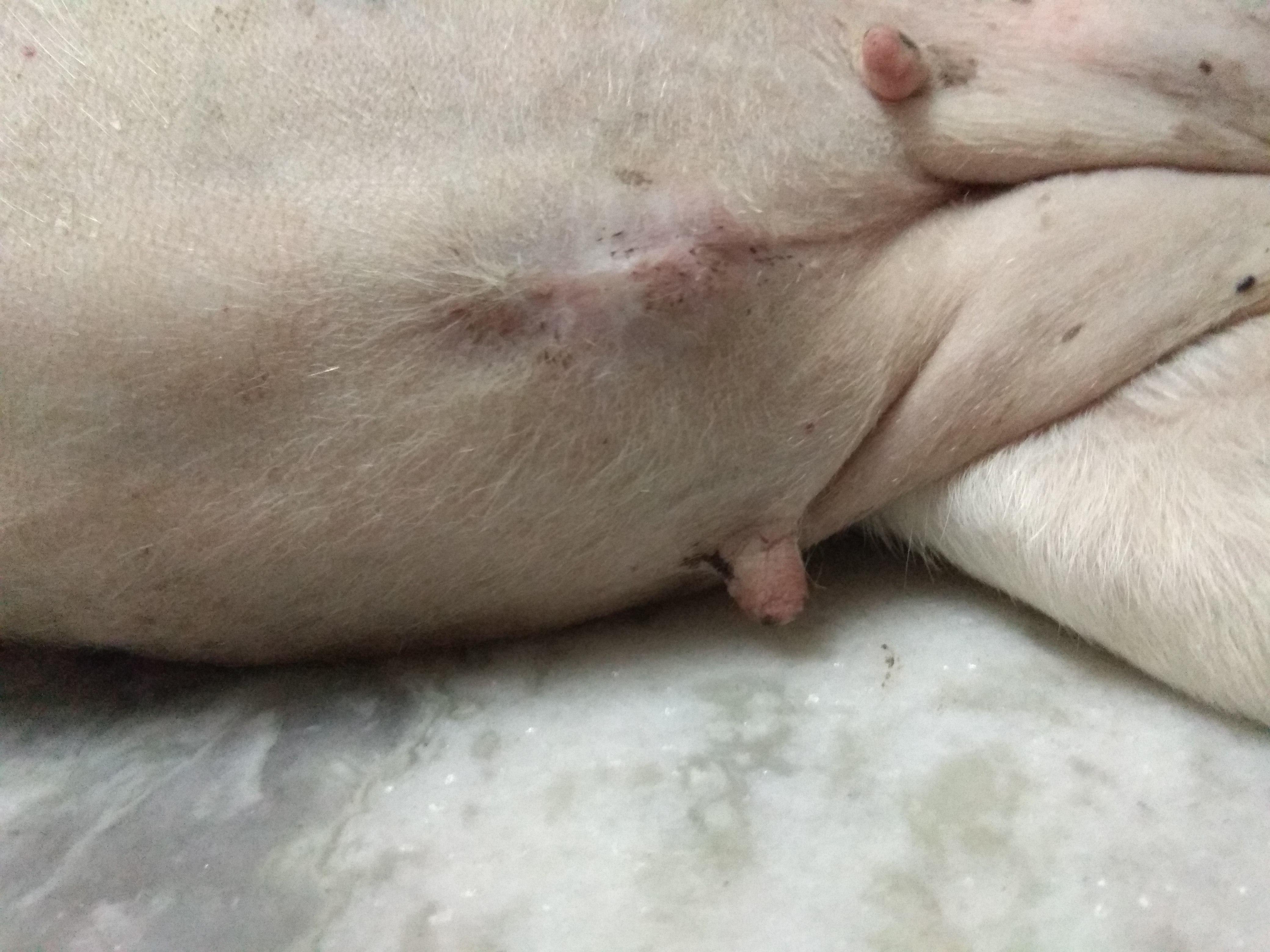 Question details sensitive content