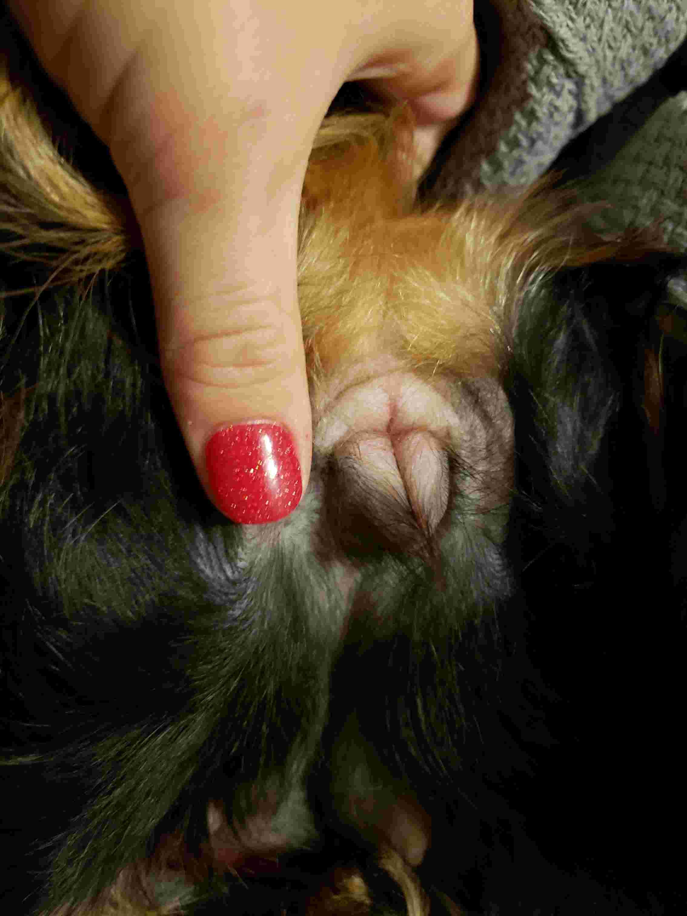 Question details sensitive content