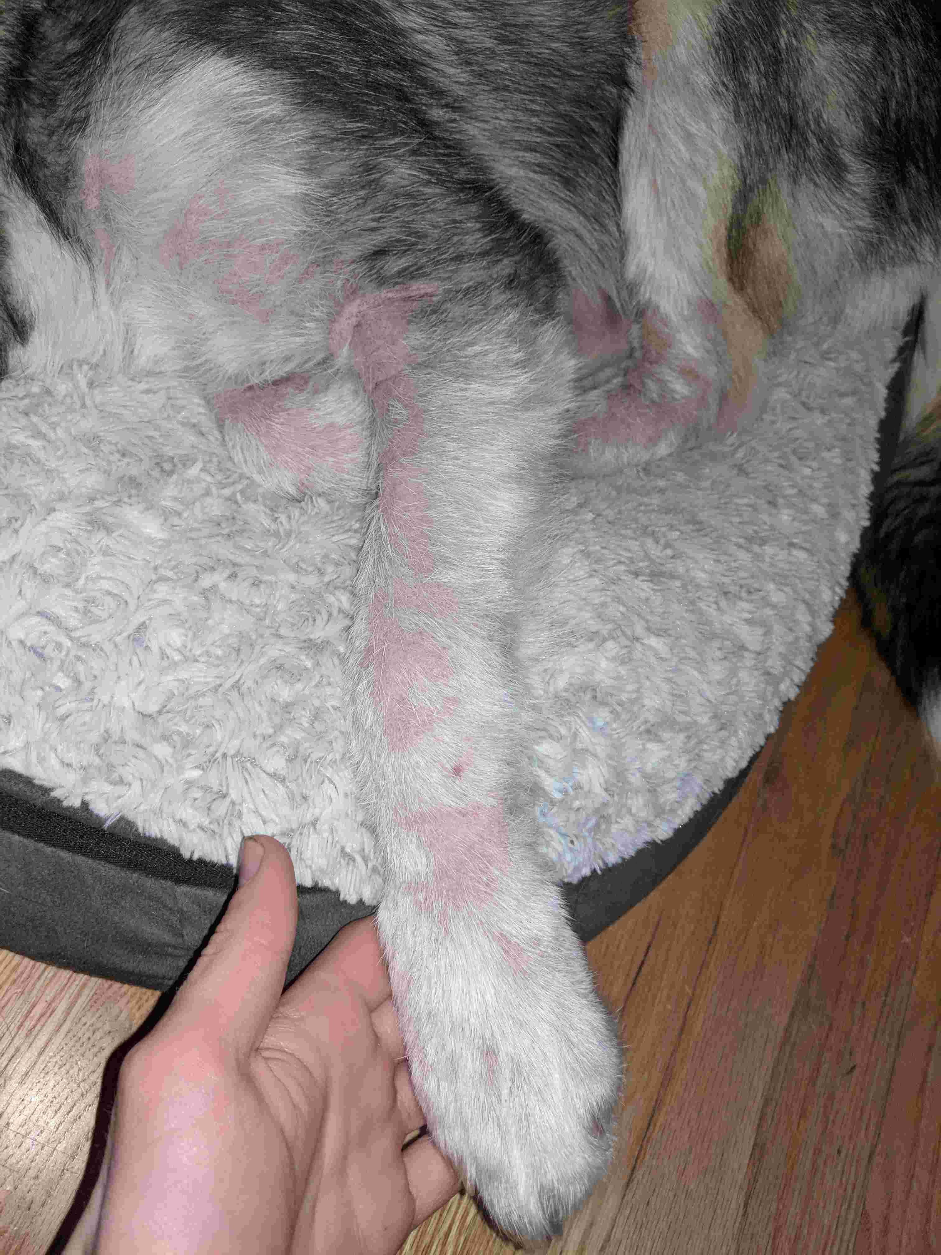 Question details sensitive content