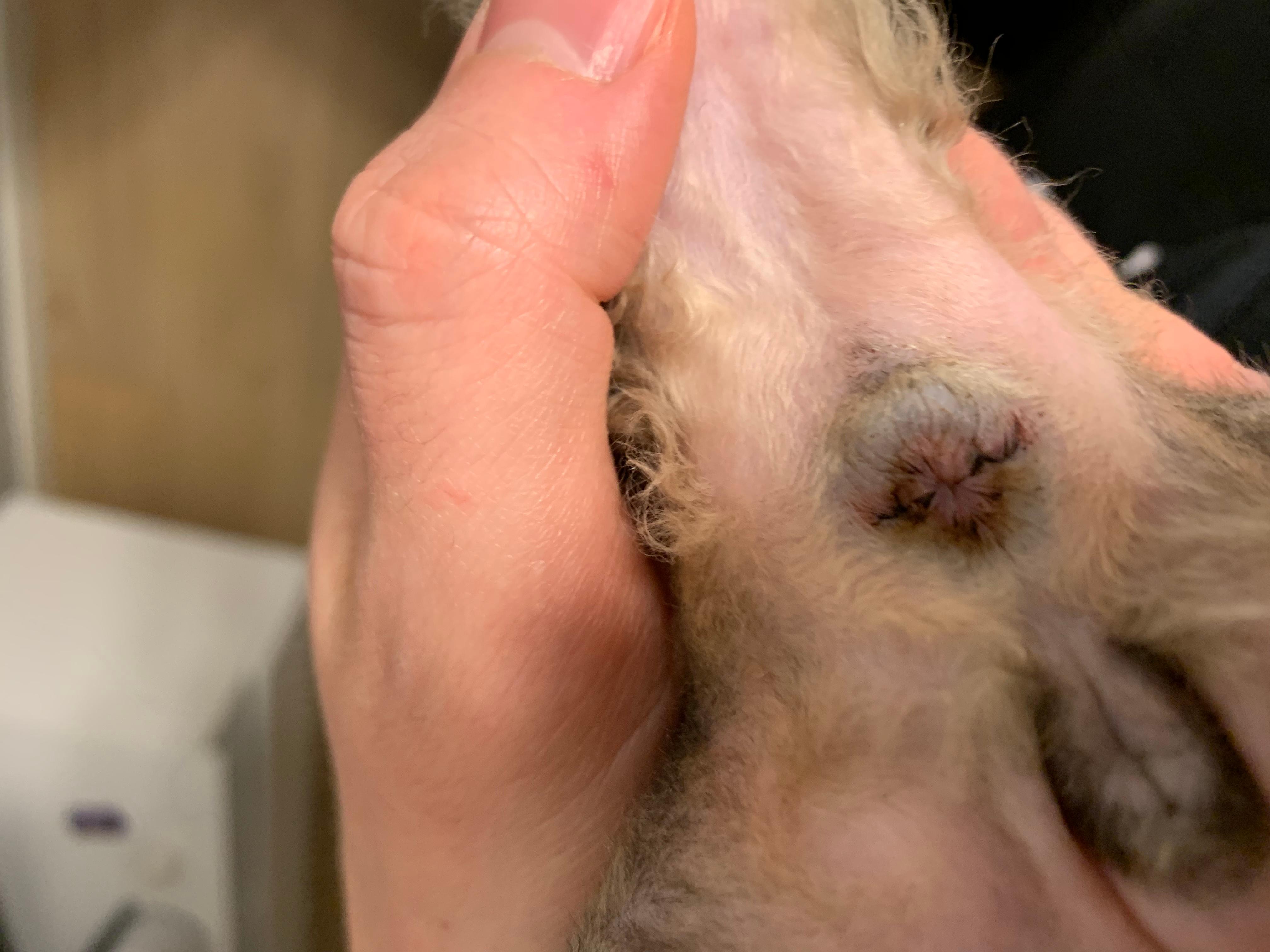 Question details sensitive content