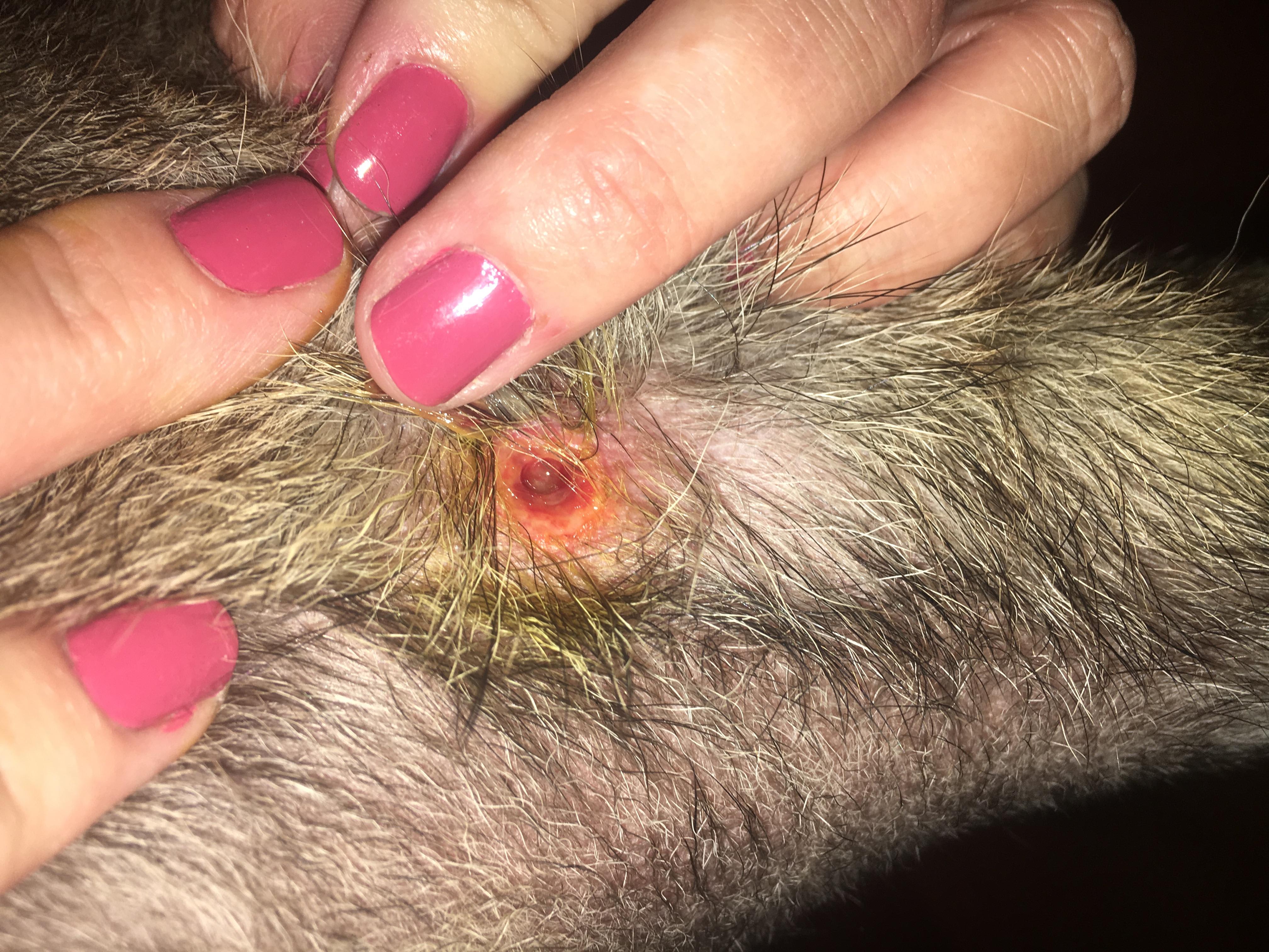 Question details sensitive content