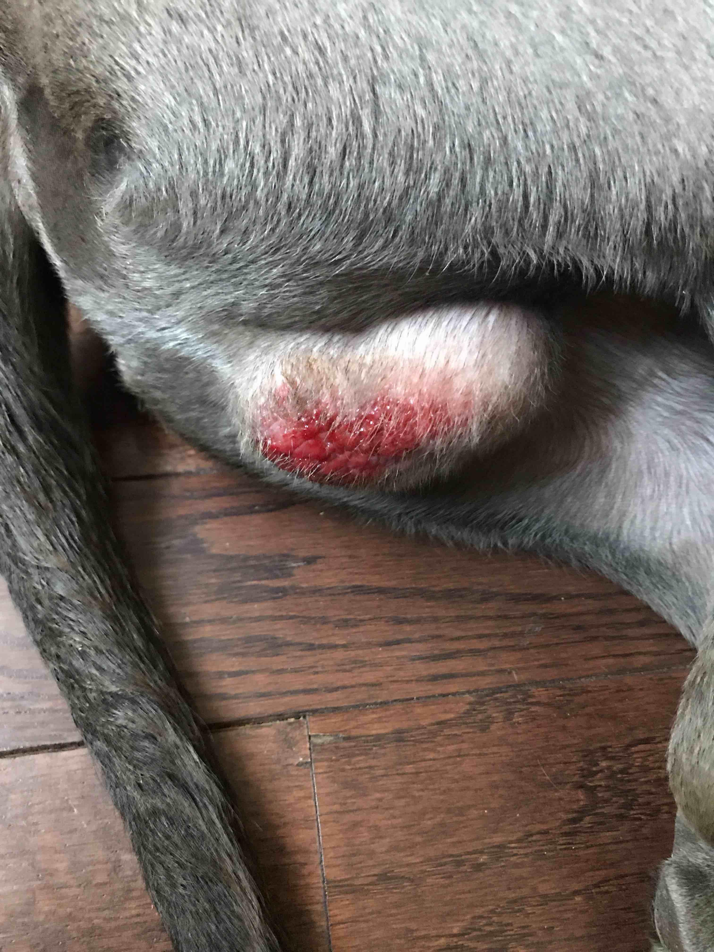 Question details sensitive content