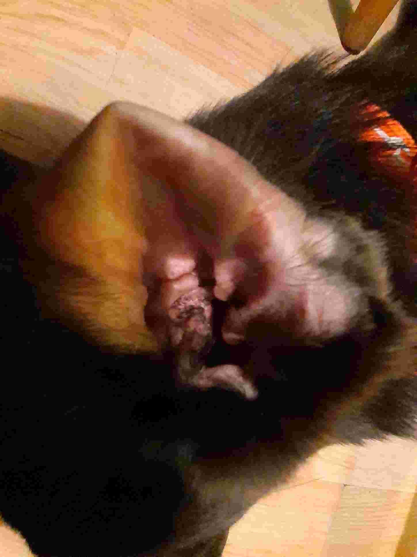 Question details sensitive content