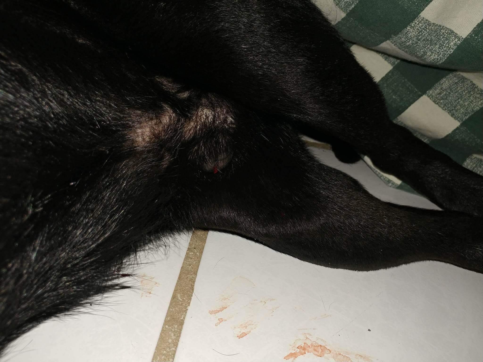 Question details sensitive content