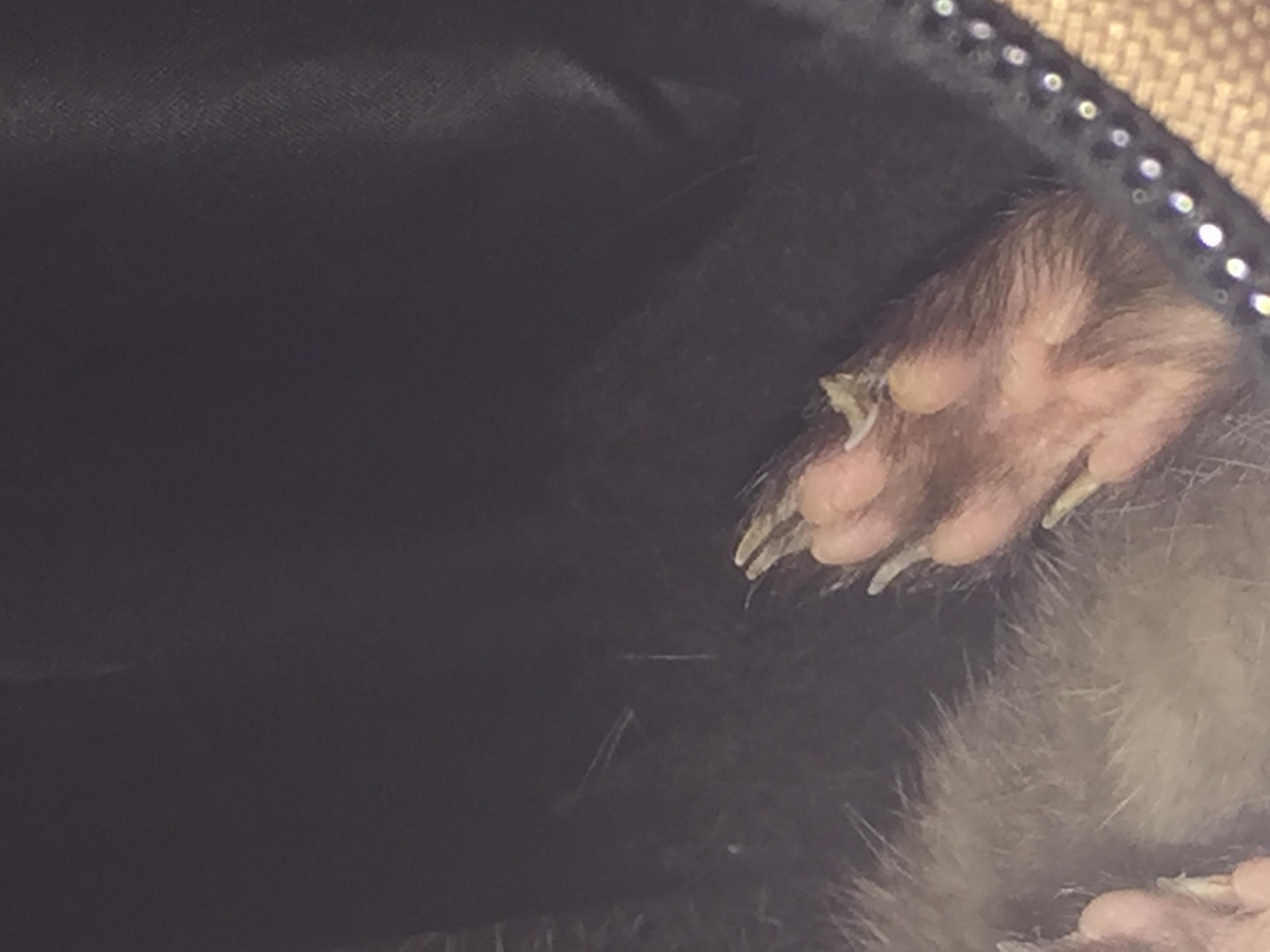 Question details sensitive content