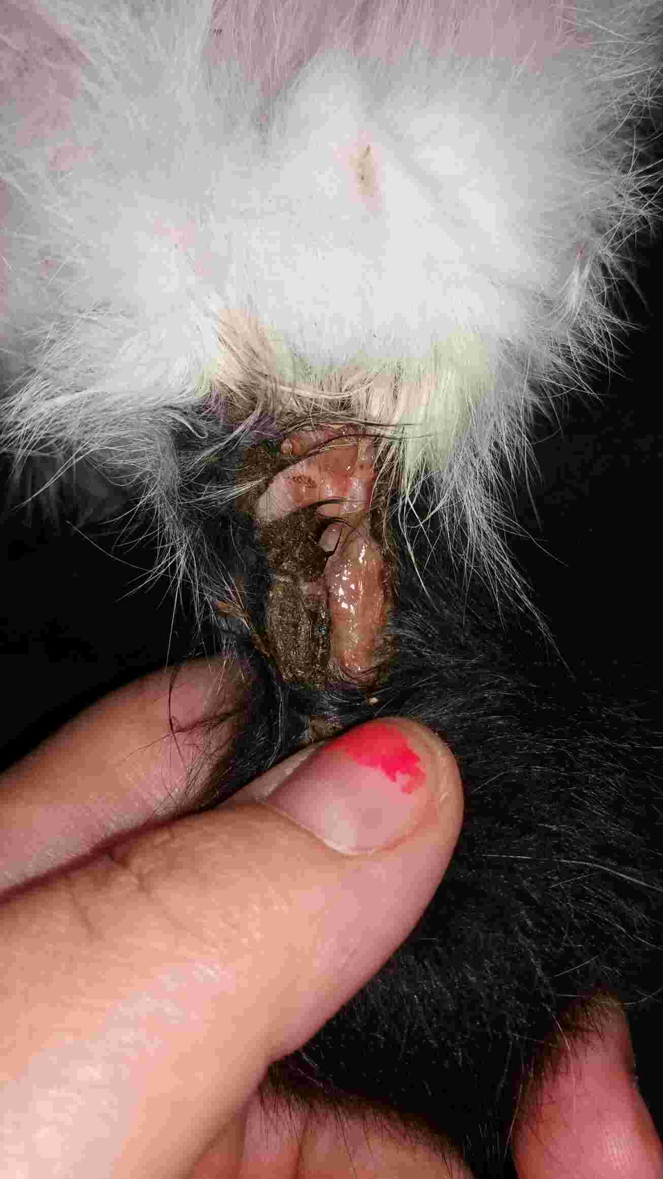 Question details sensitive content