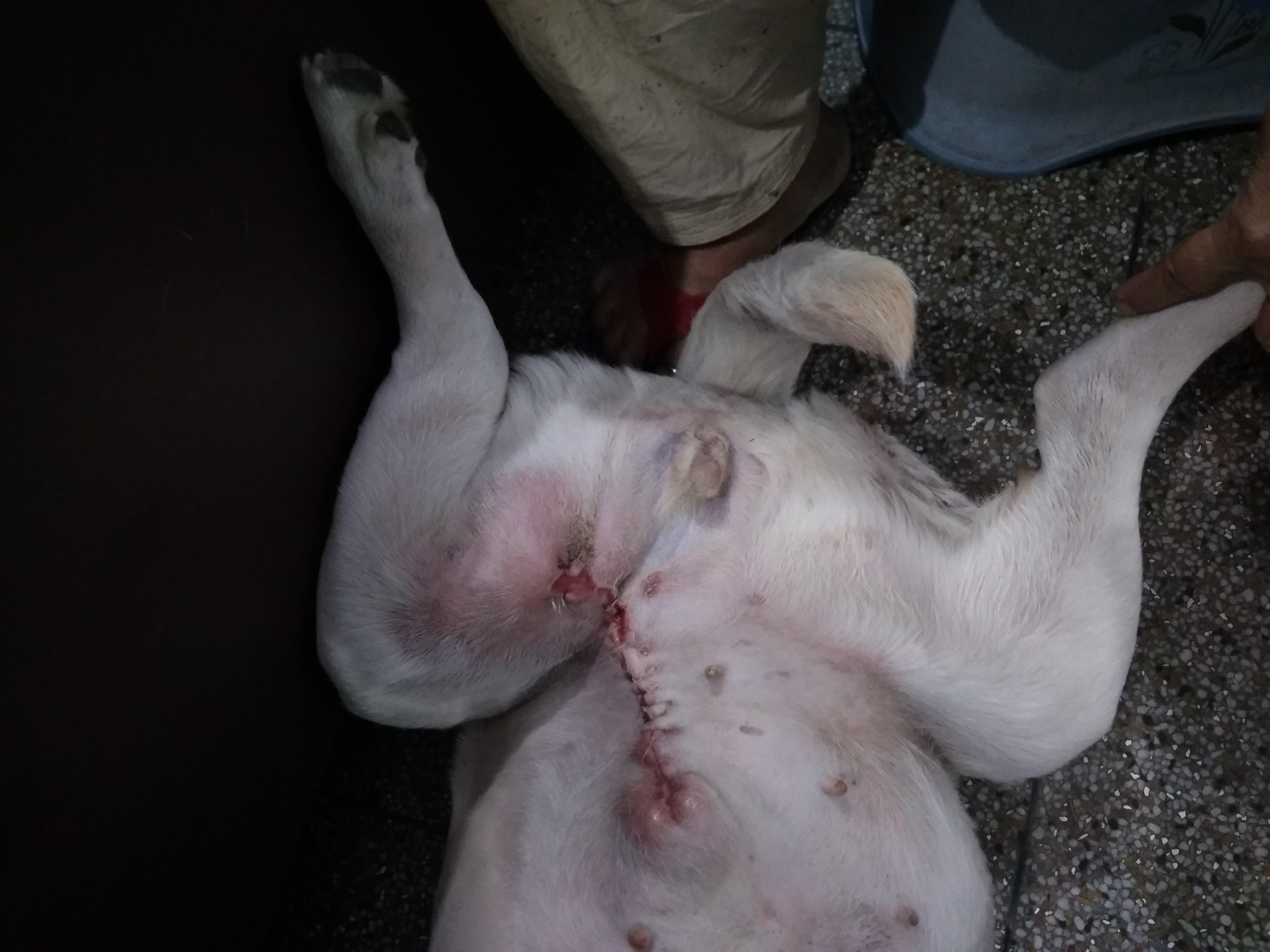 Question details sensitive content