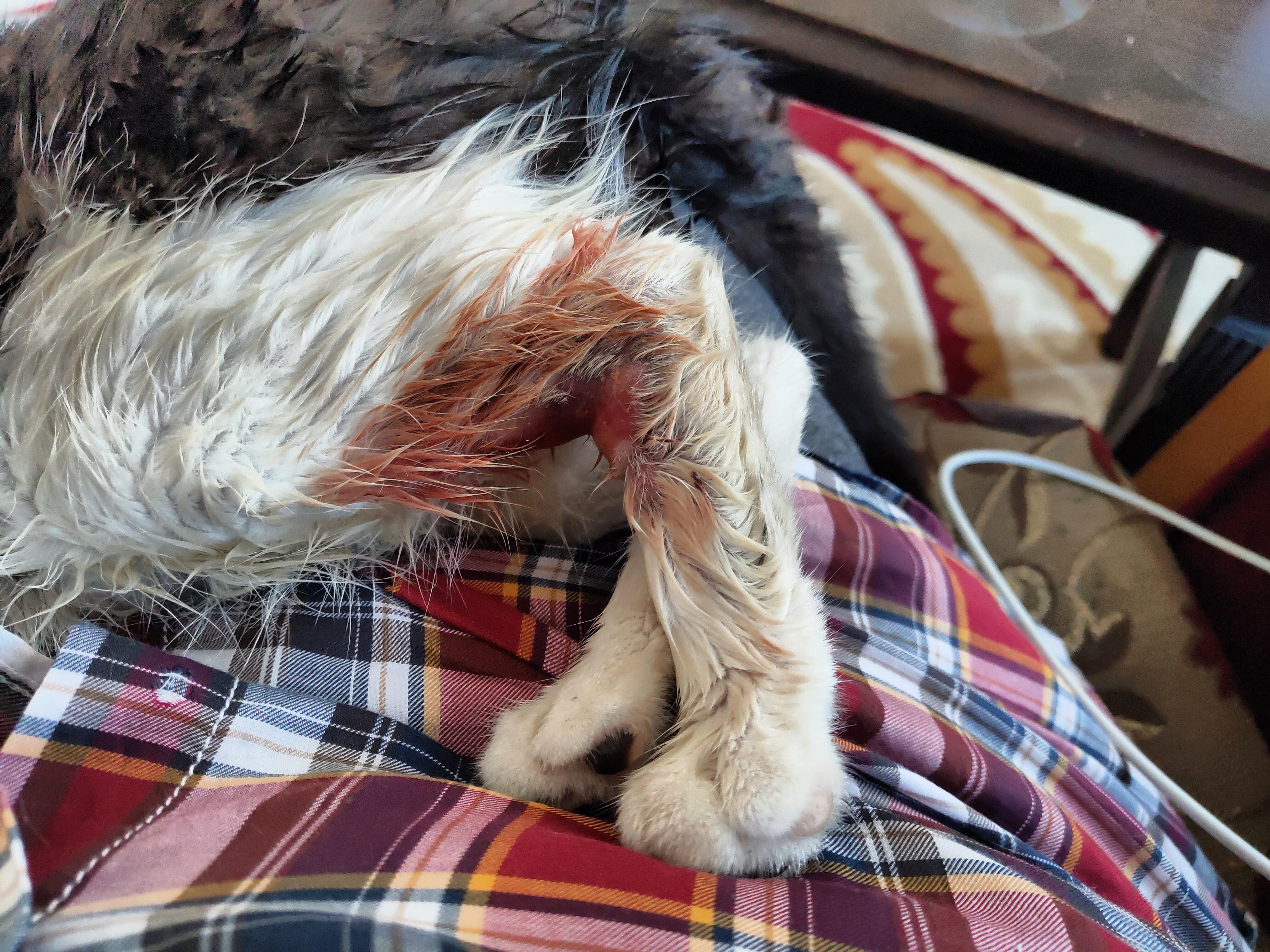 Question details sensitive content