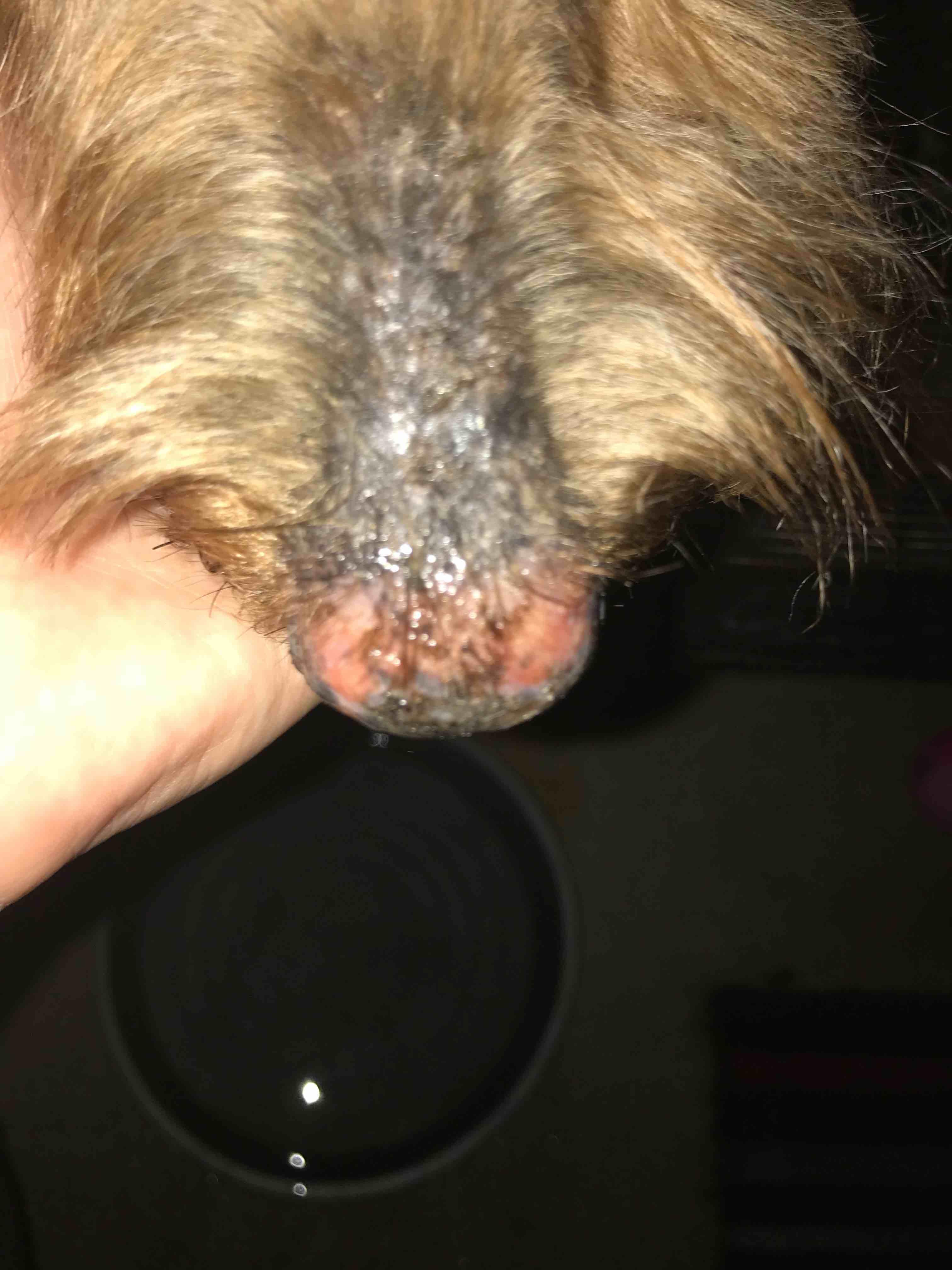 Question details sensitive content