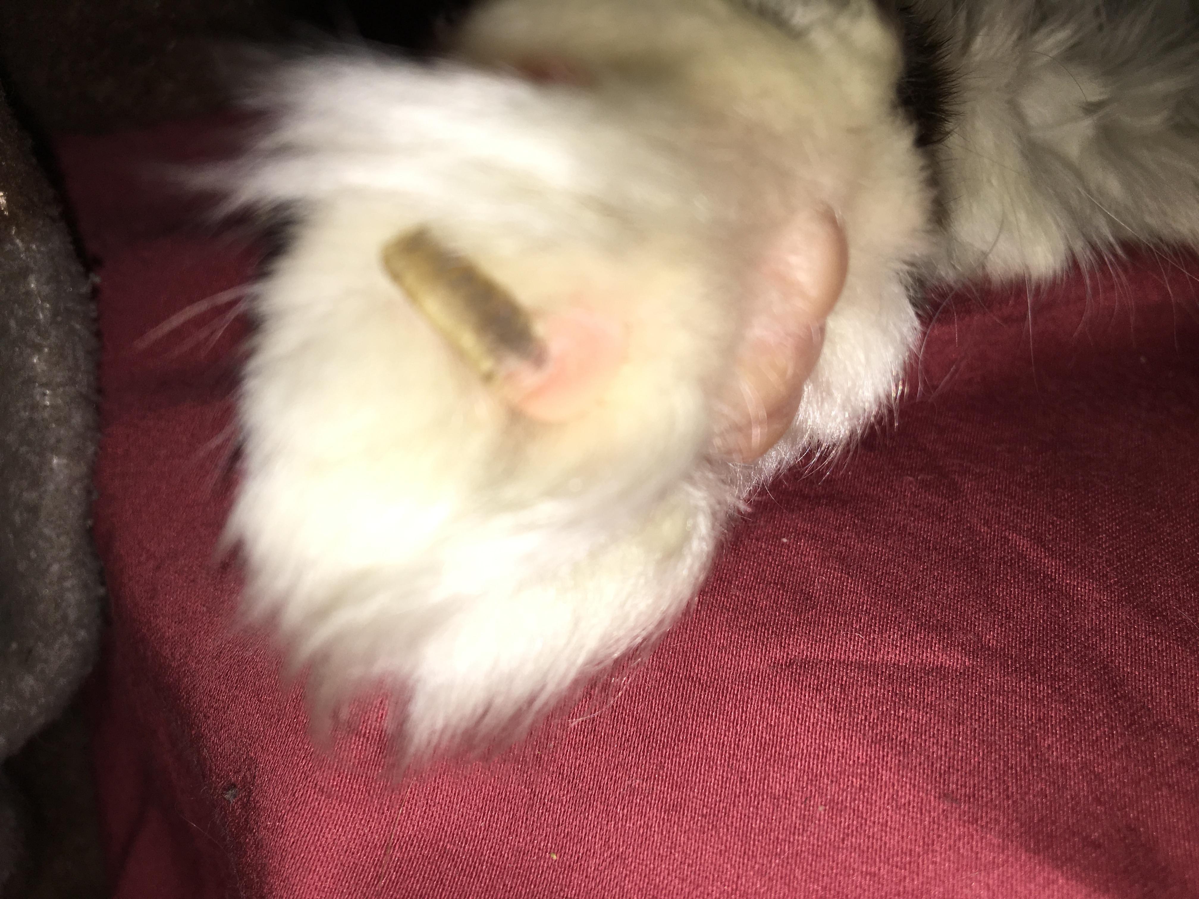 Question details sensitive content