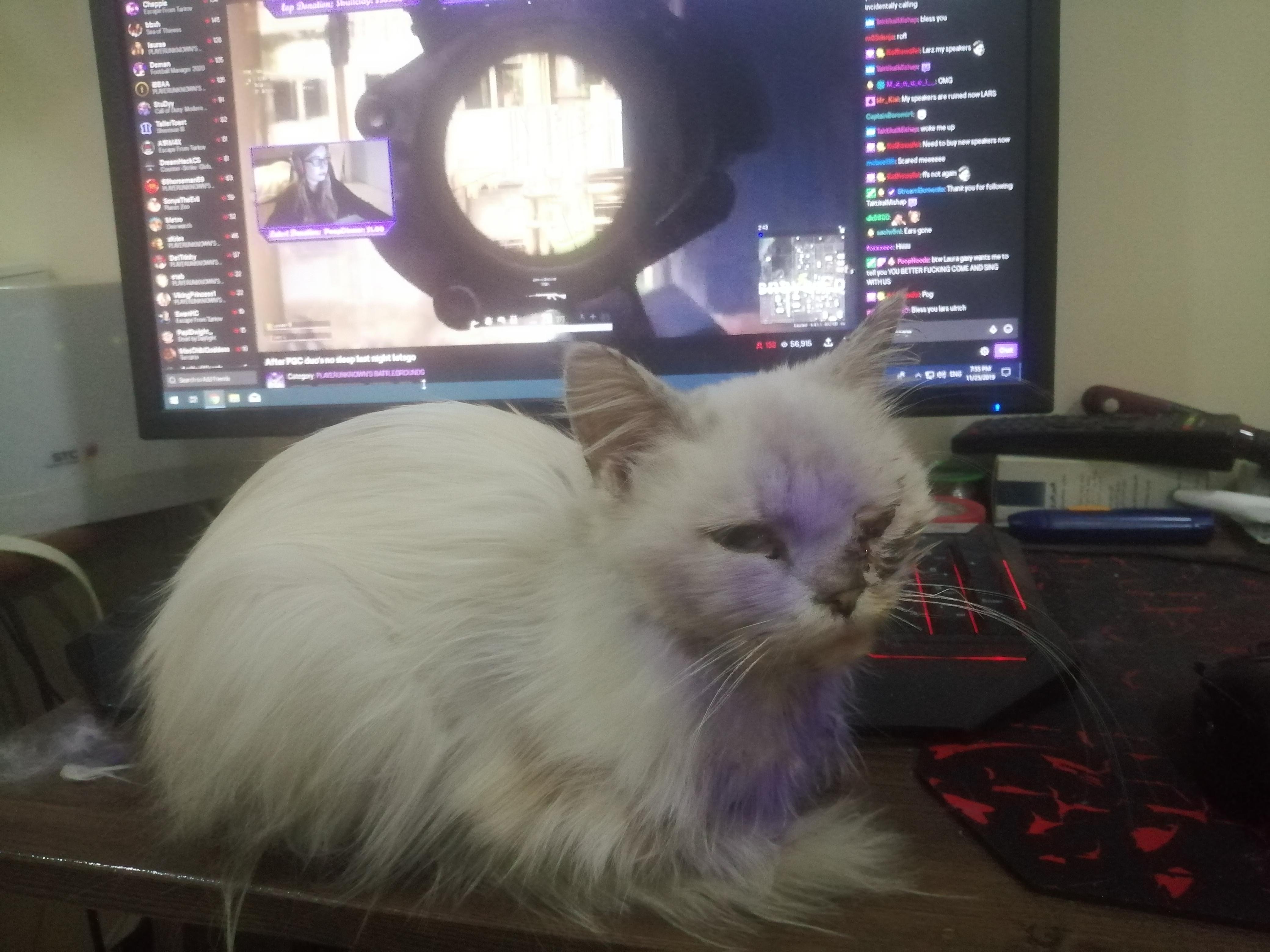 Question details sensitive content