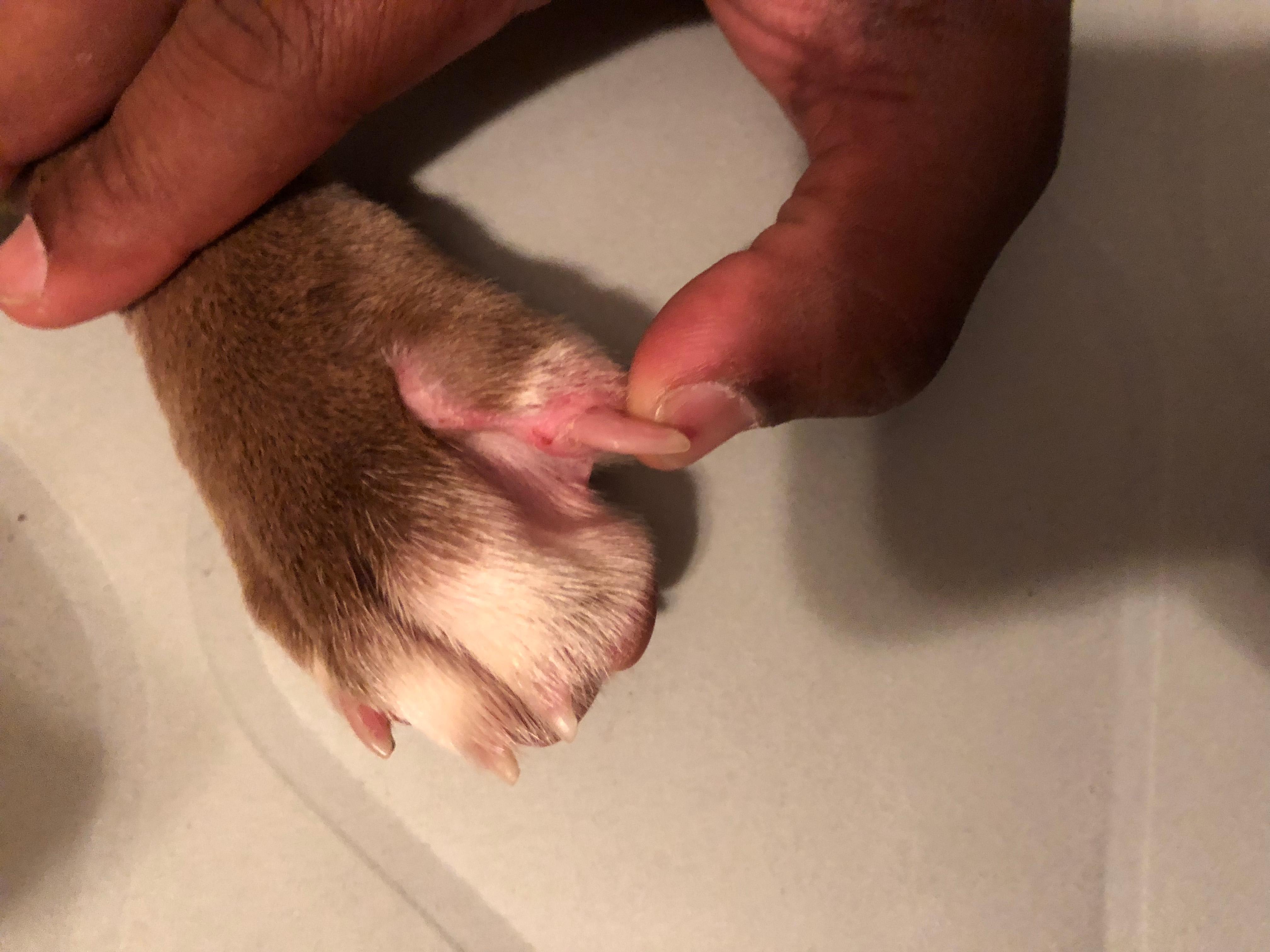 Question details sensitive content