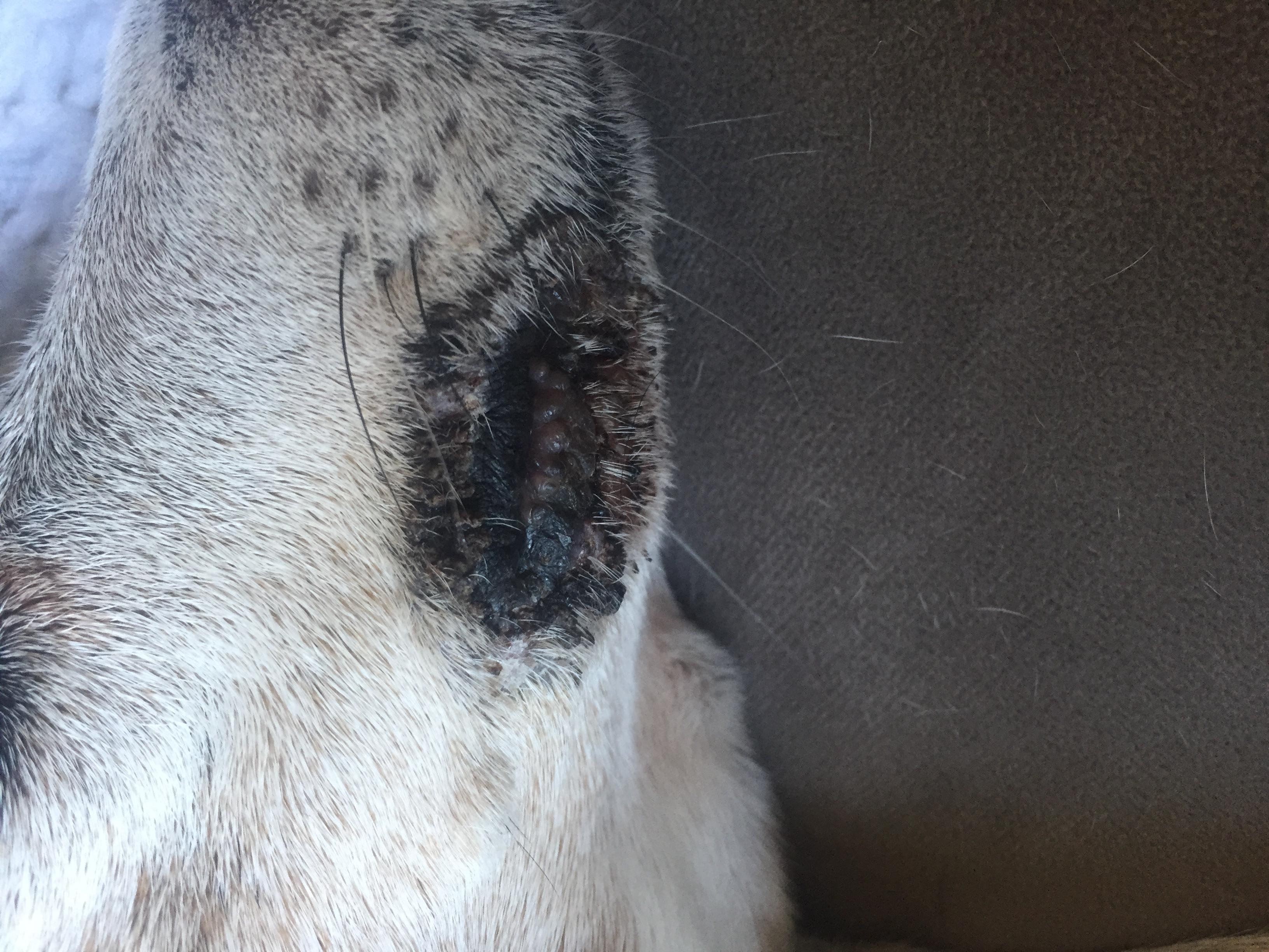 Question details sensitive content