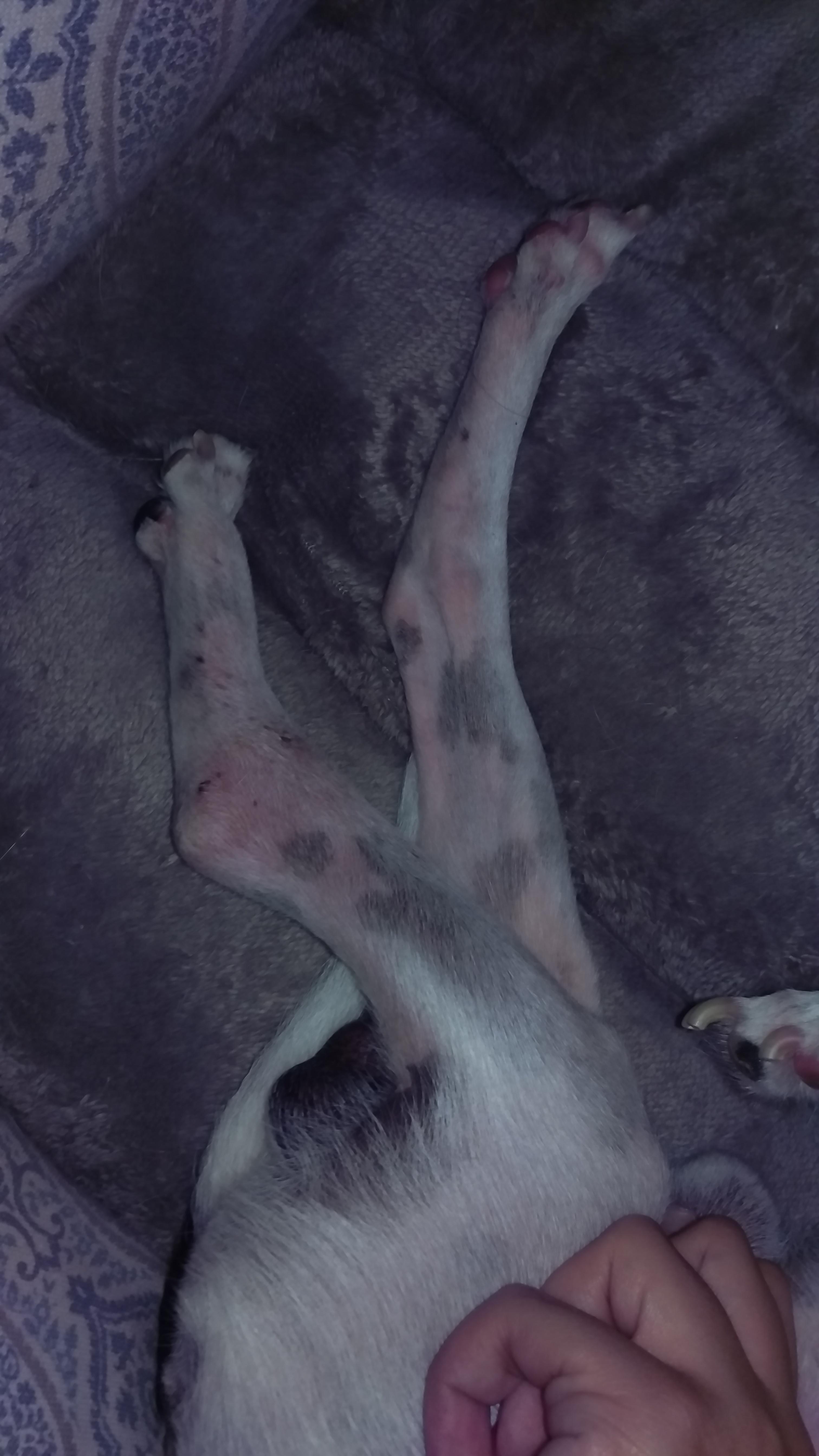 Question details sensitive content