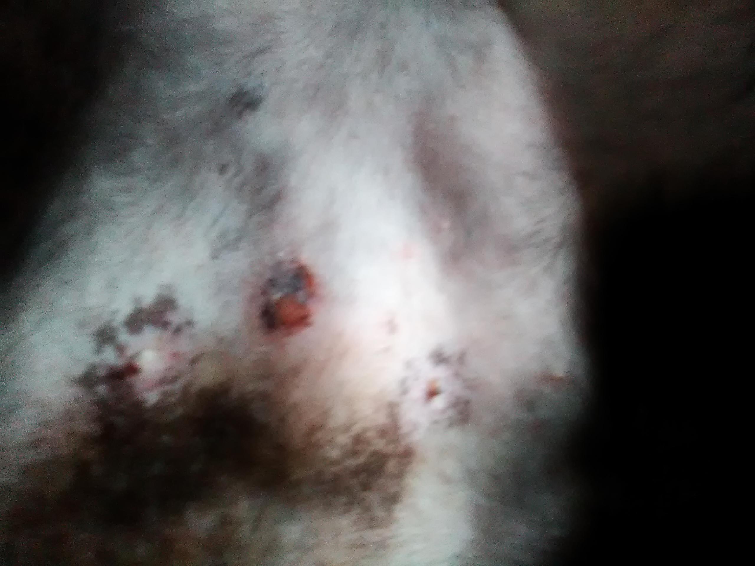 Question details sensitive content