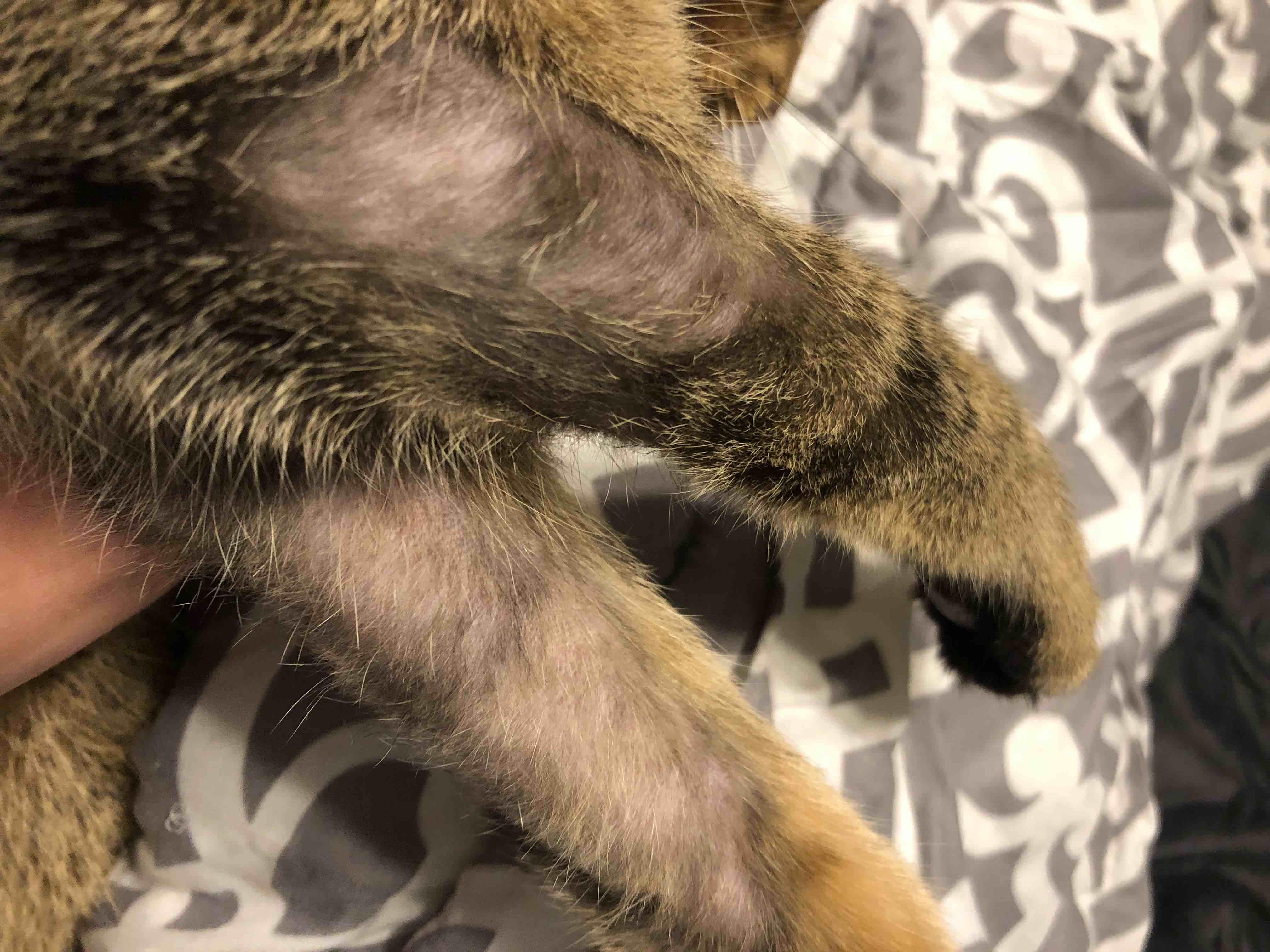 Question details sensitive content