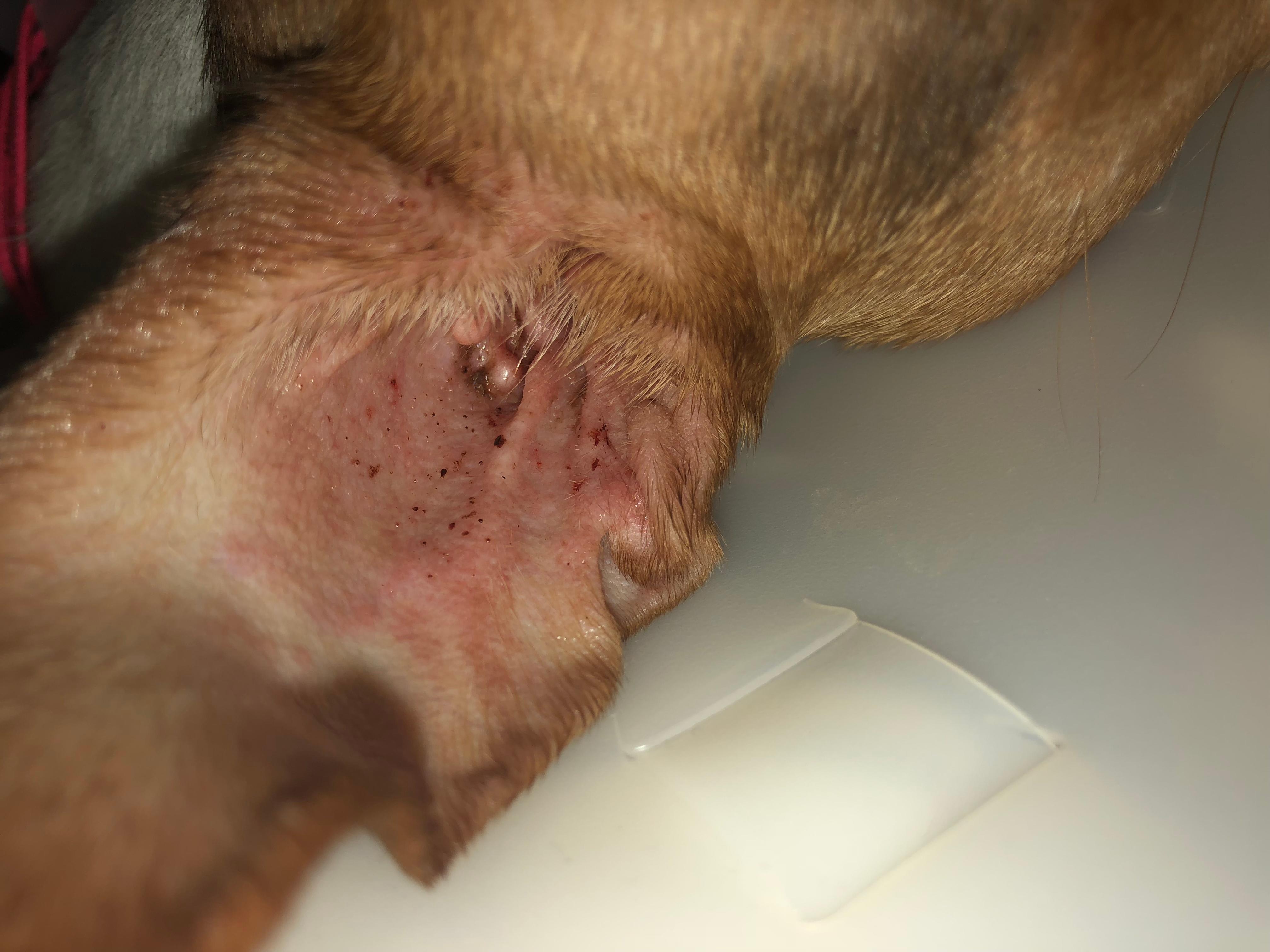 Question details sensitive content