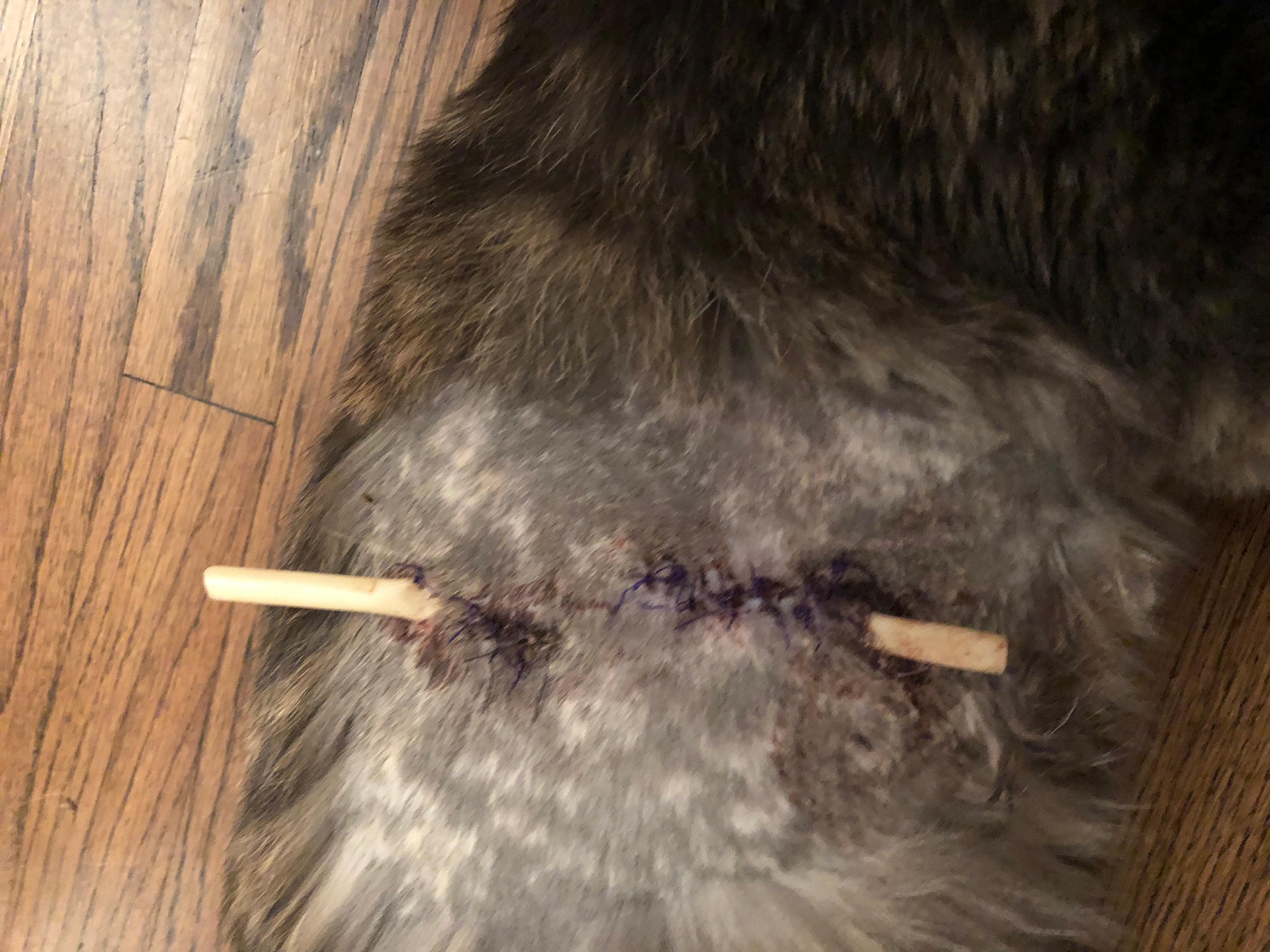 Question details sensitive content