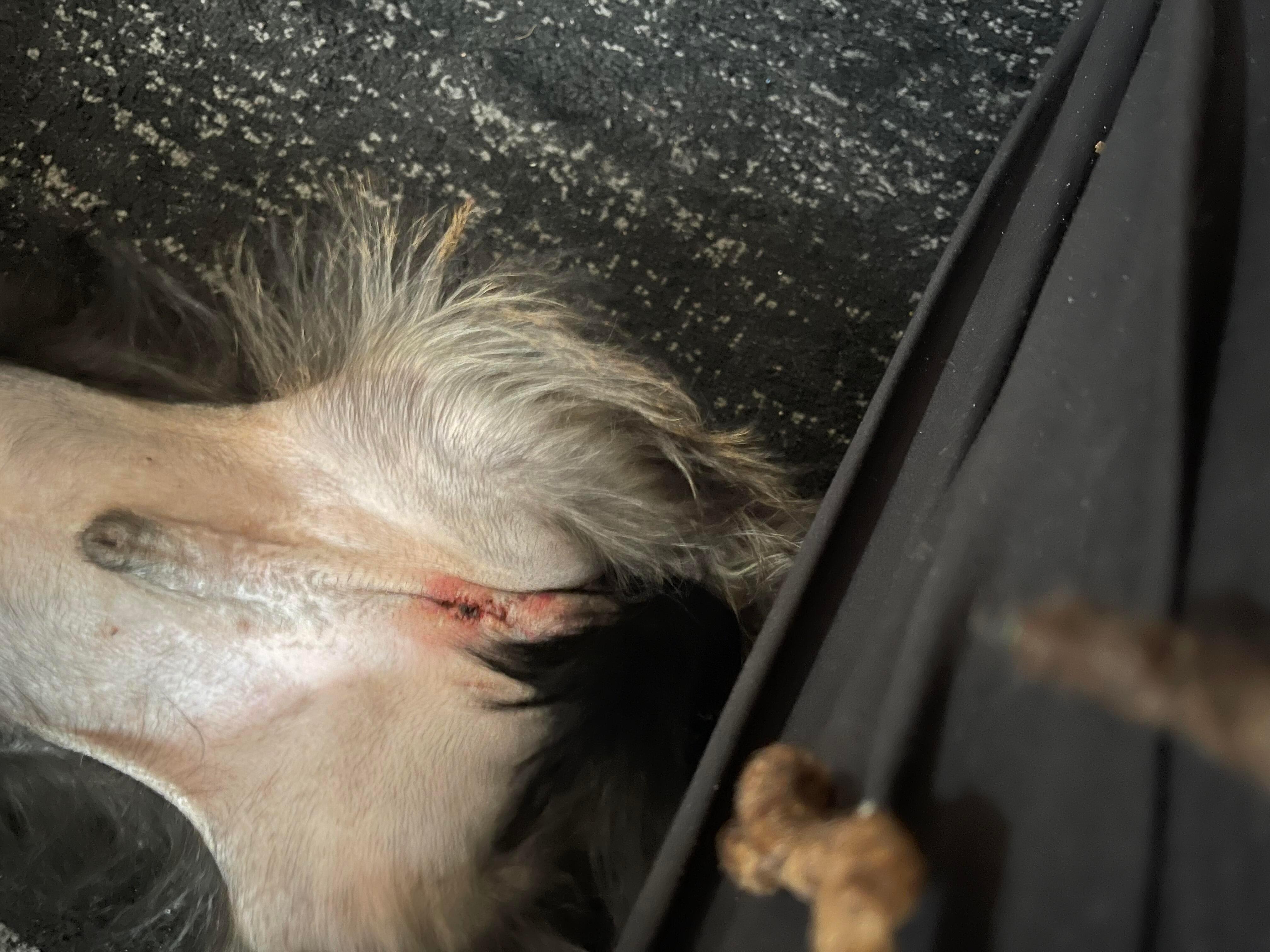 Question details sensitive content