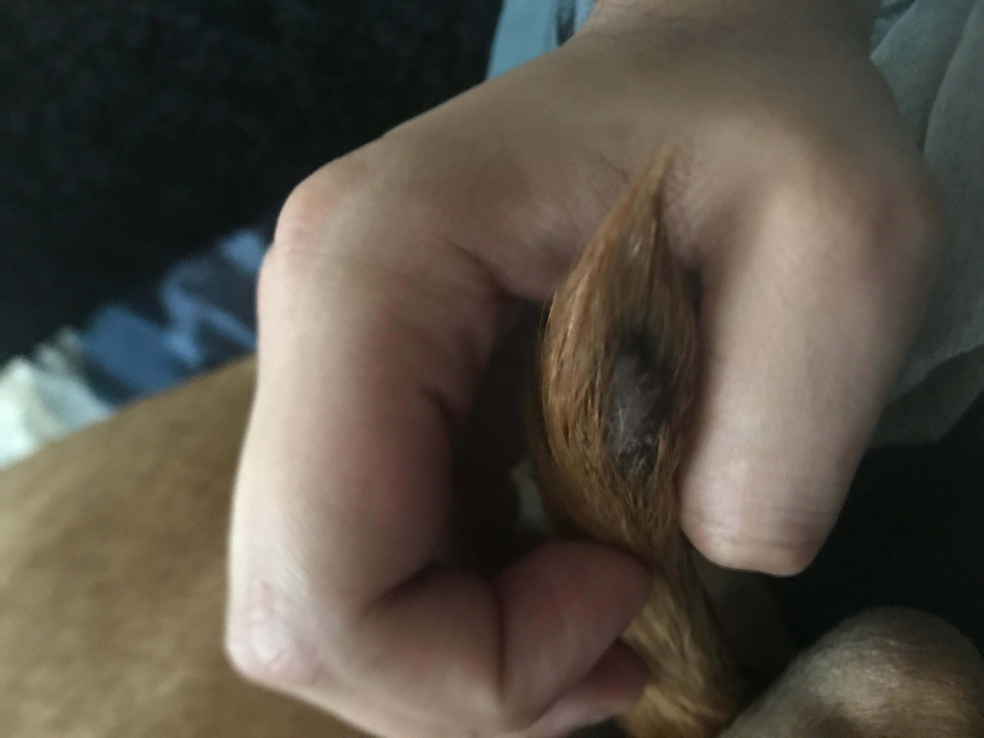 Question details sensitive content