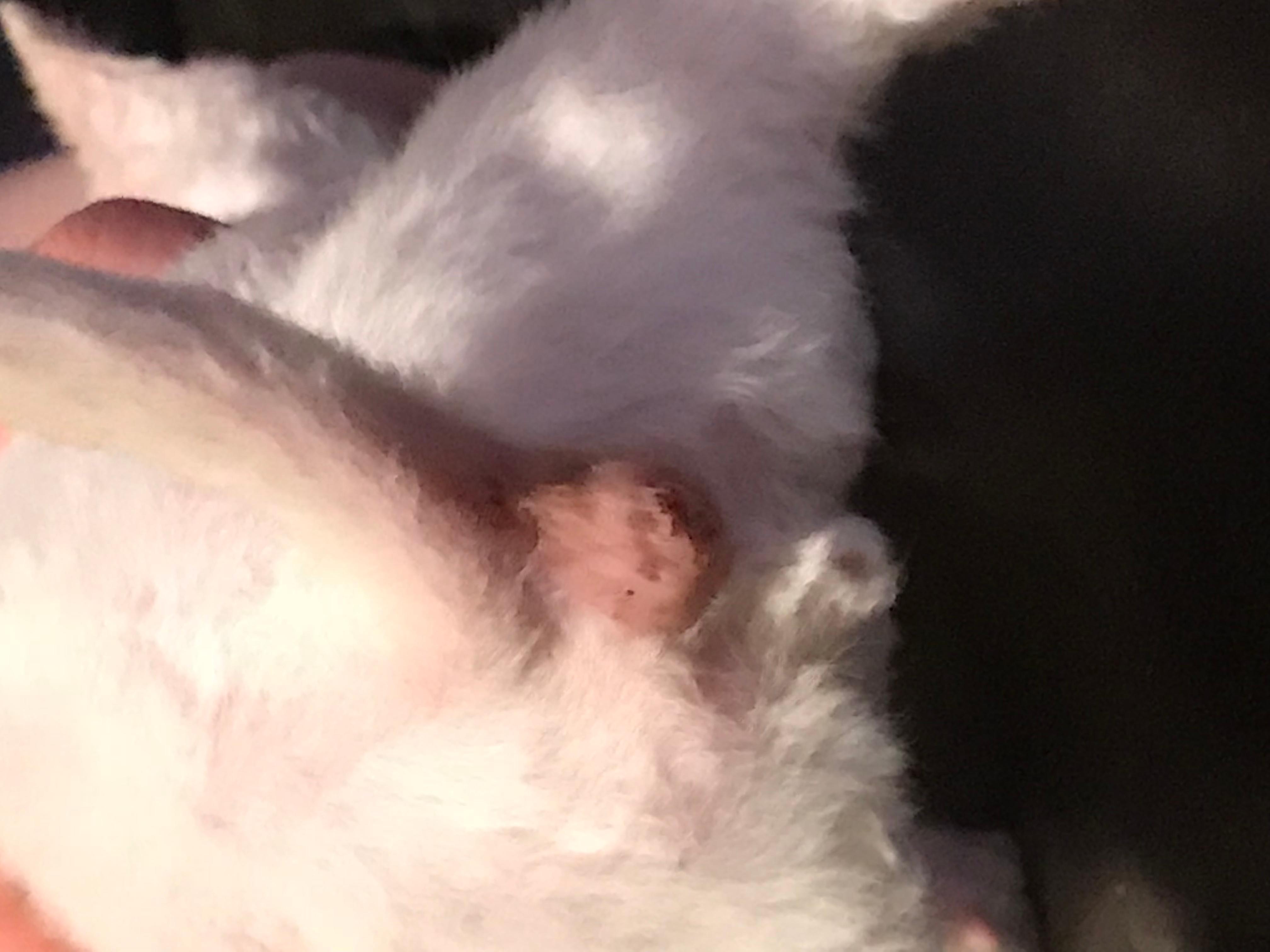 Question details sensitive content