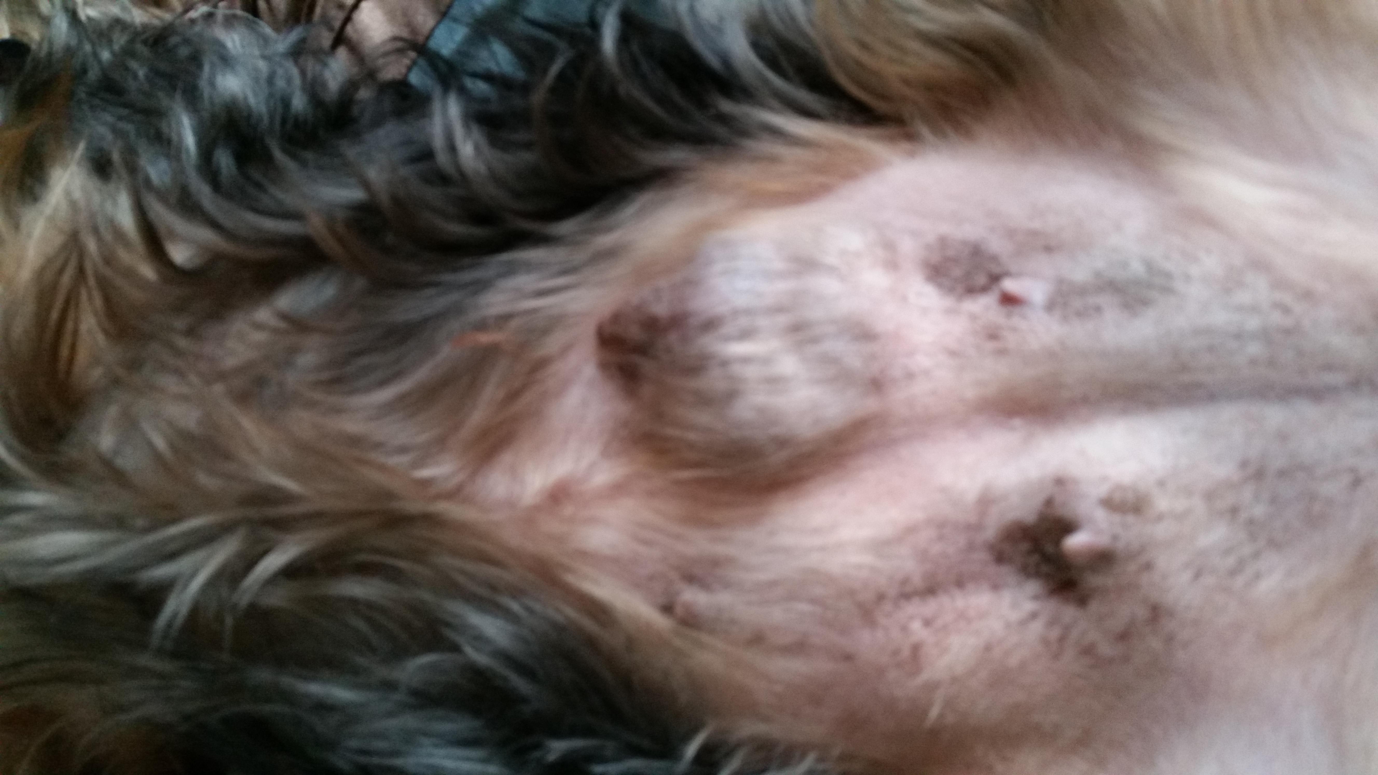 Question details sensitive content