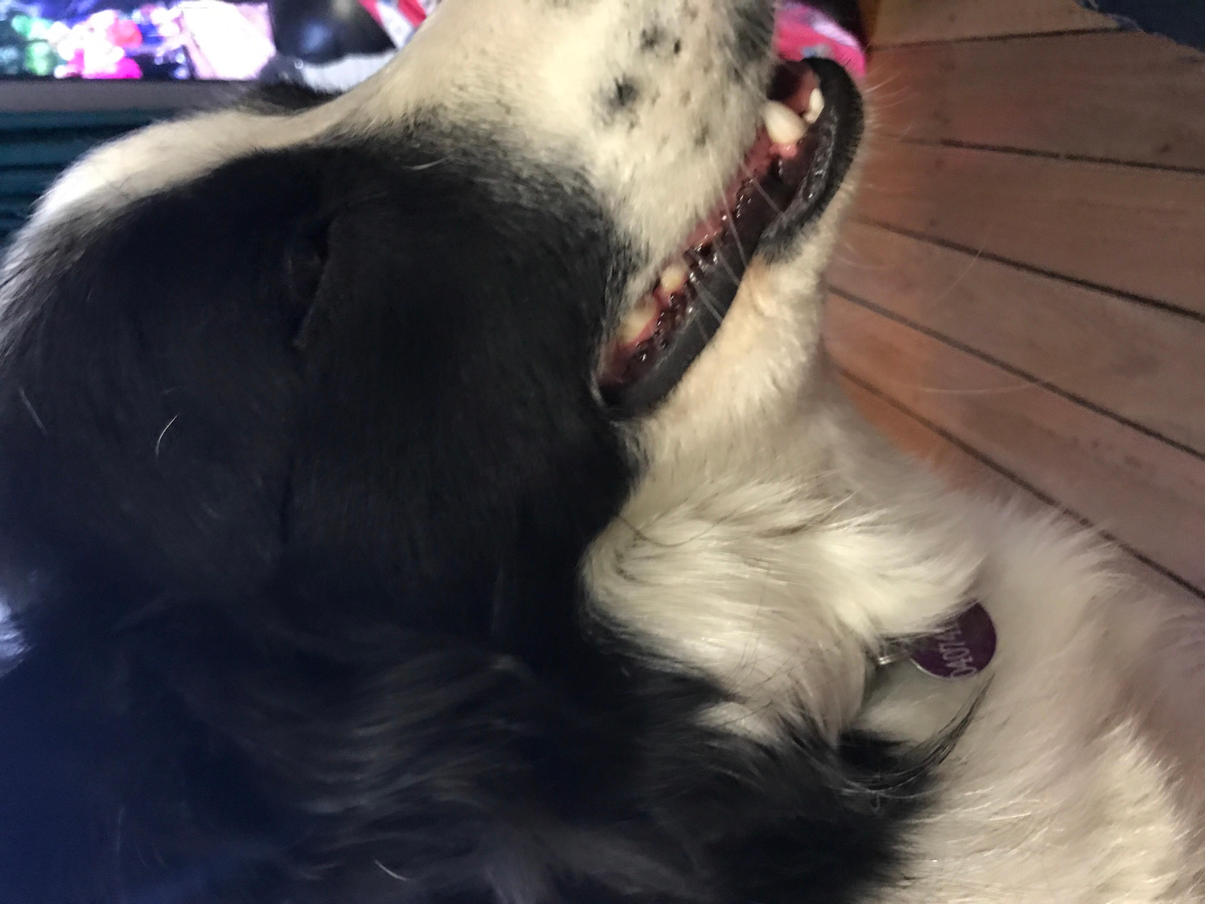 Question details sensitive content