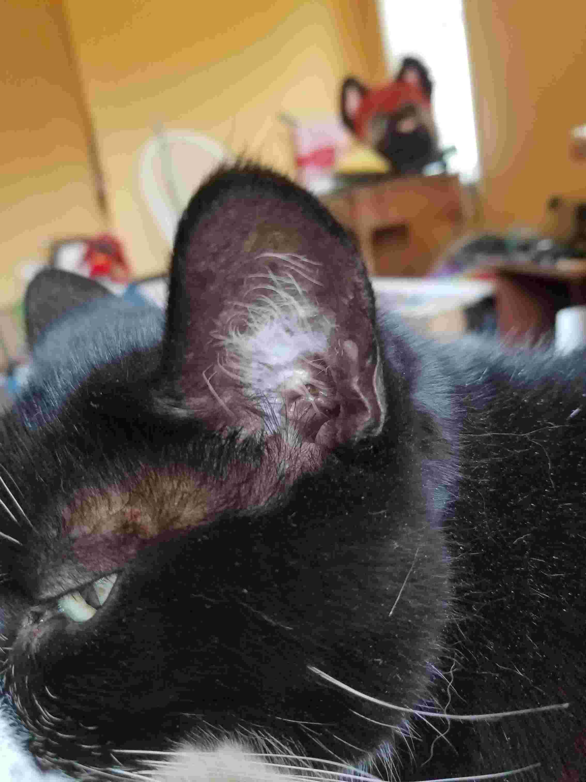 Question details sensitive content