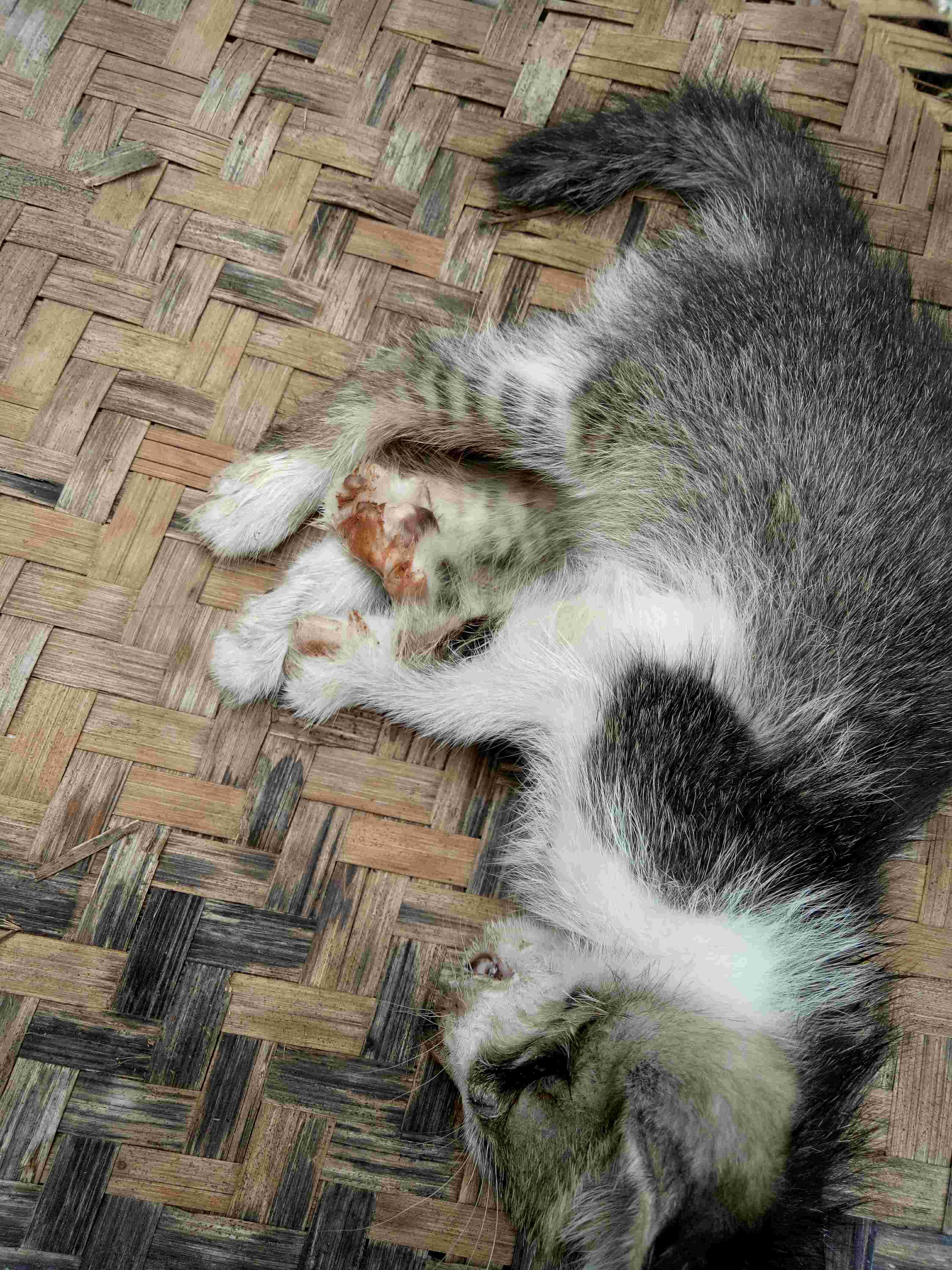 Question details sensitive content