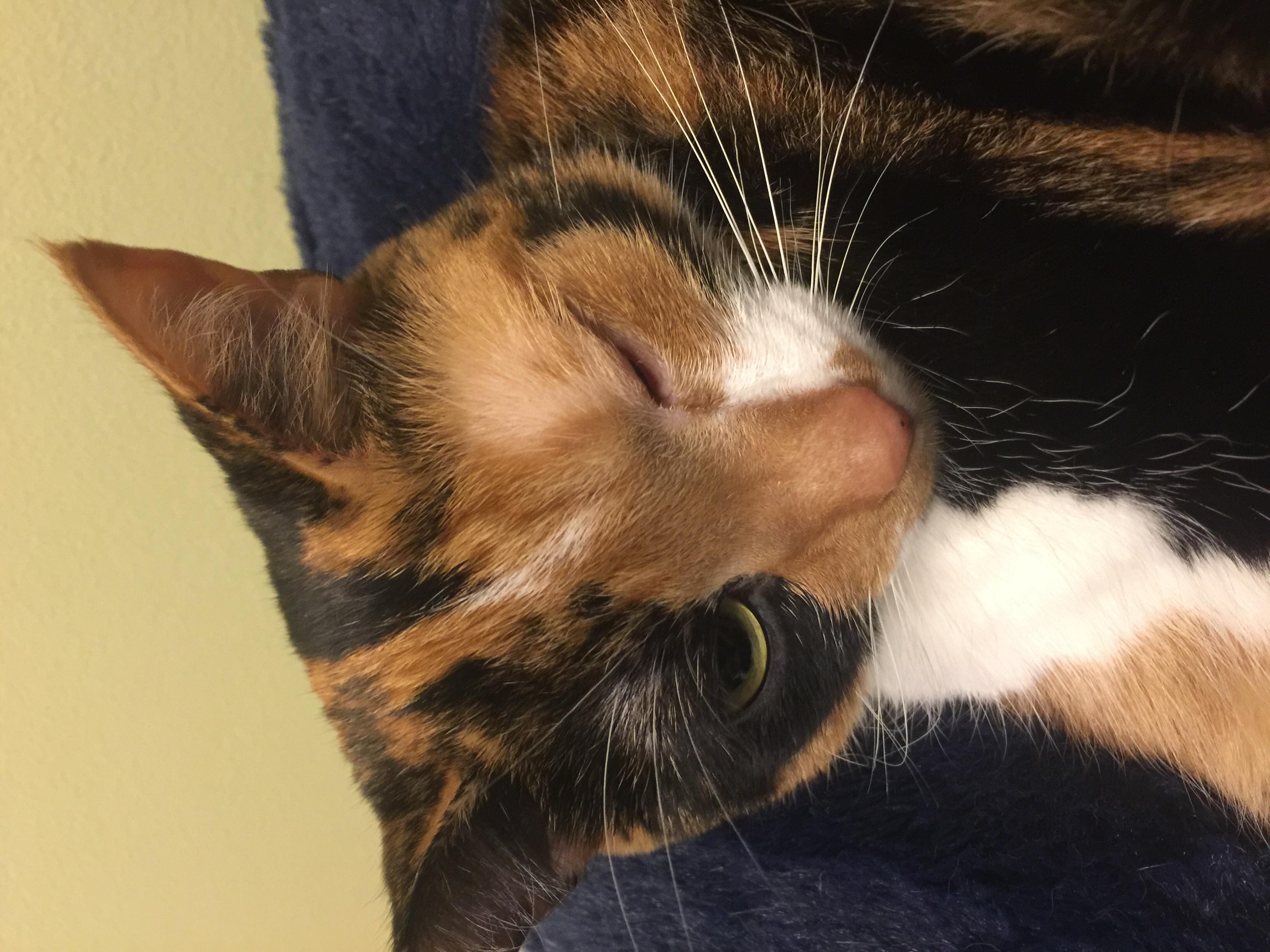 Question details sensitive content