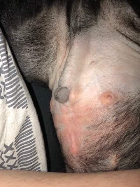 Question details sensitive content