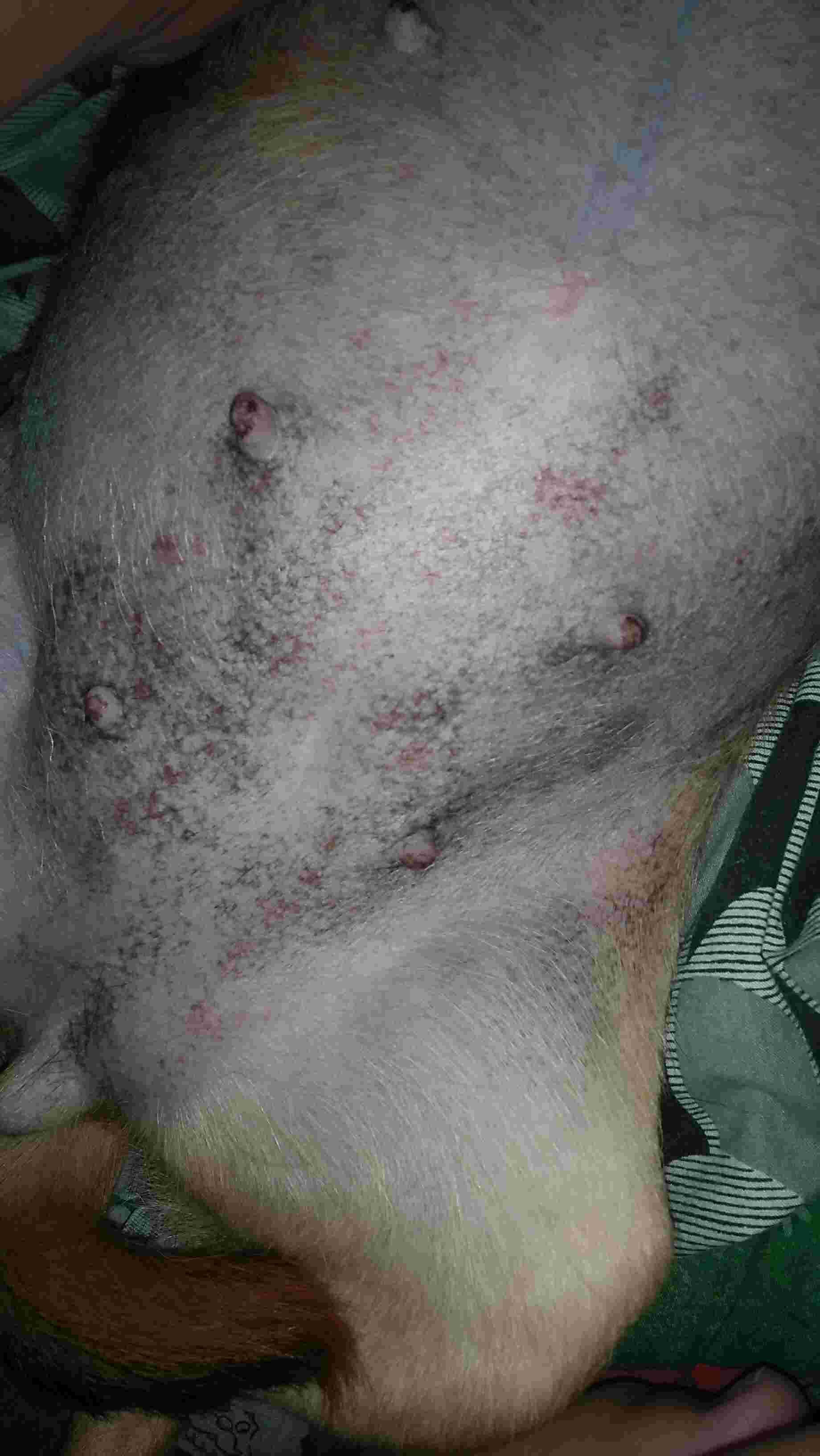 Question details sensitive content