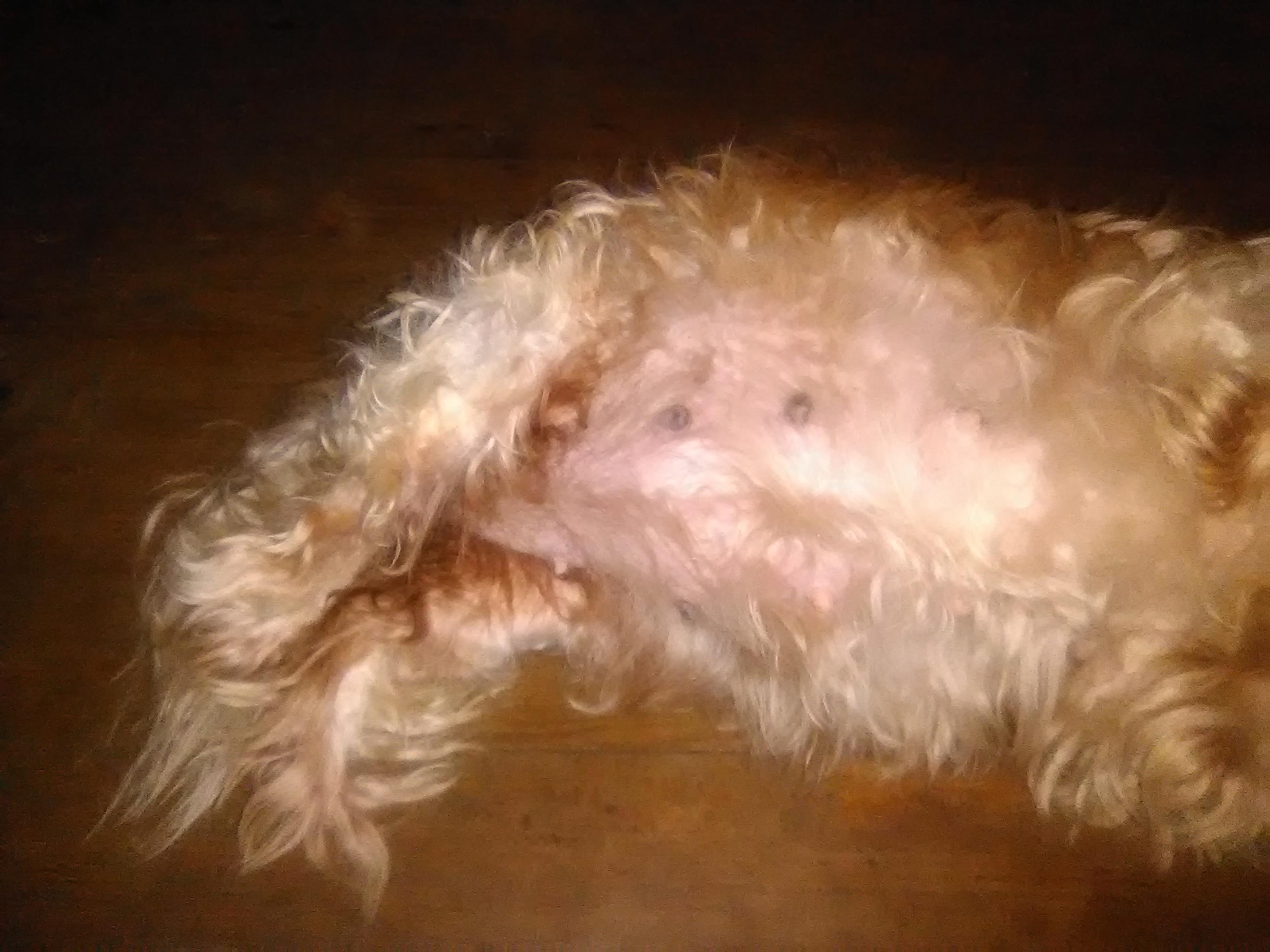 Question details sensitive content