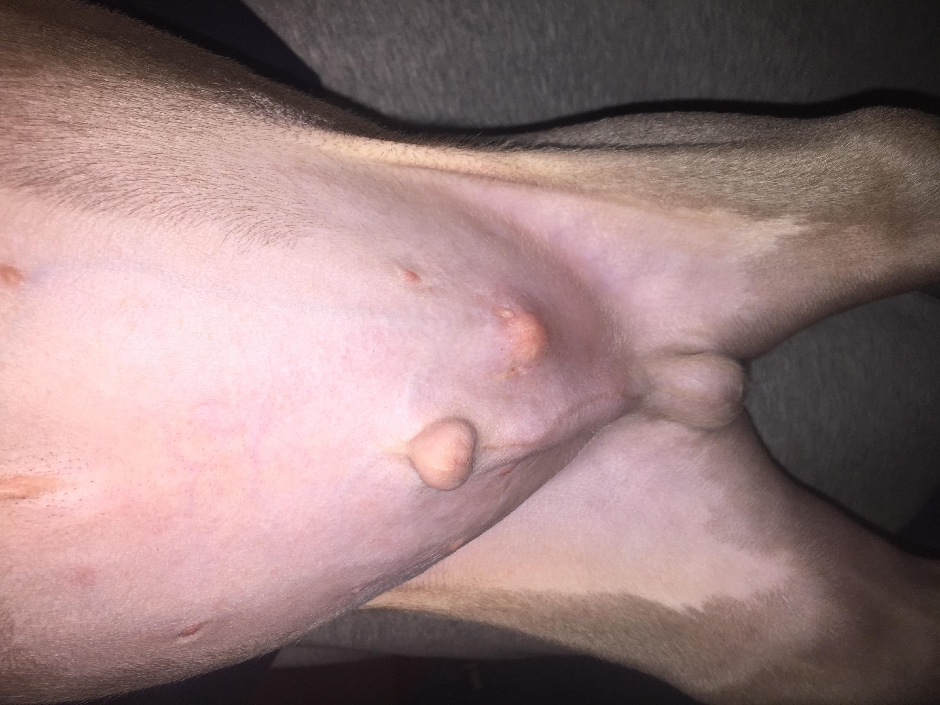 Question details sensitive content