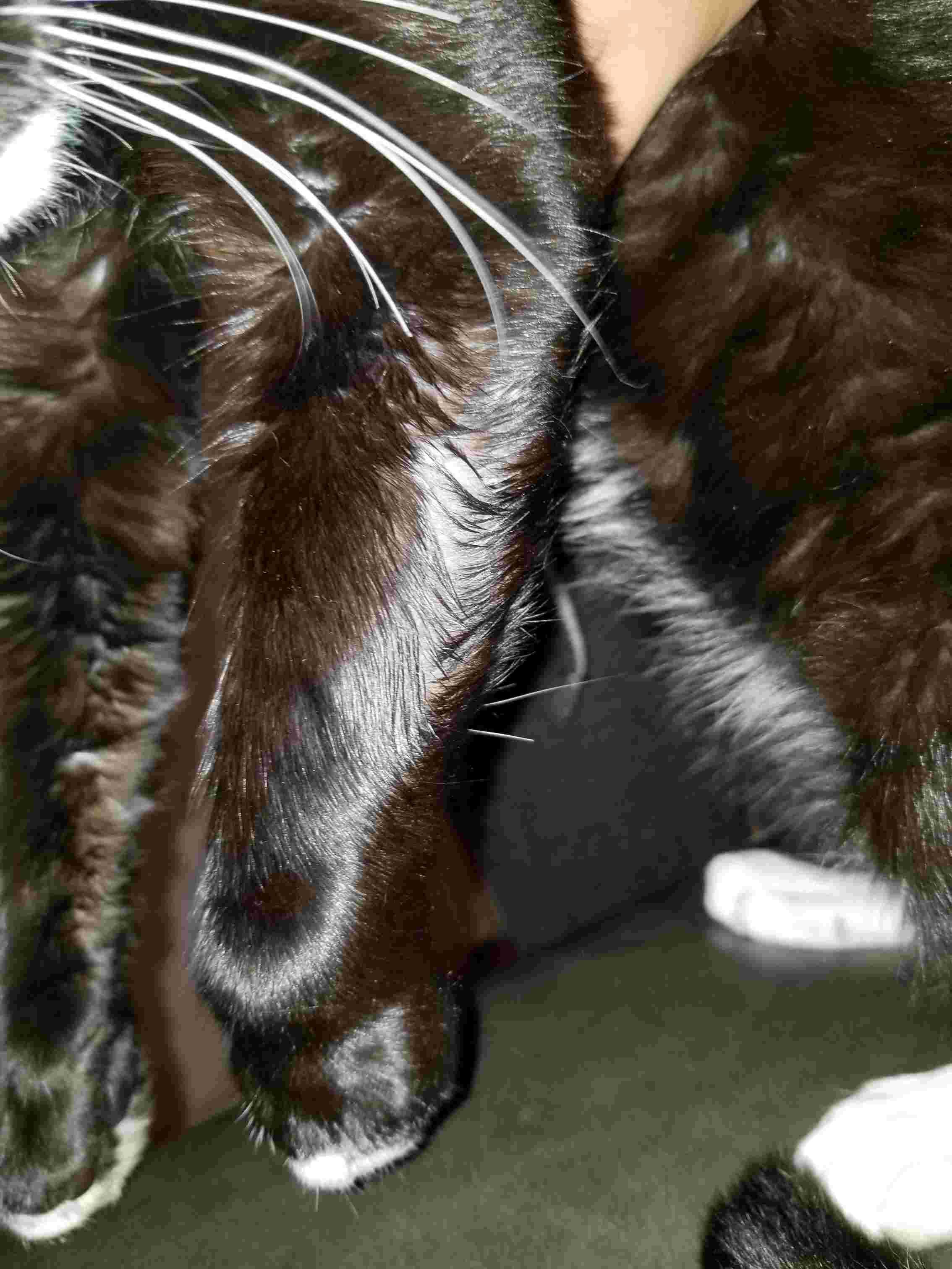 Question details sensitive content