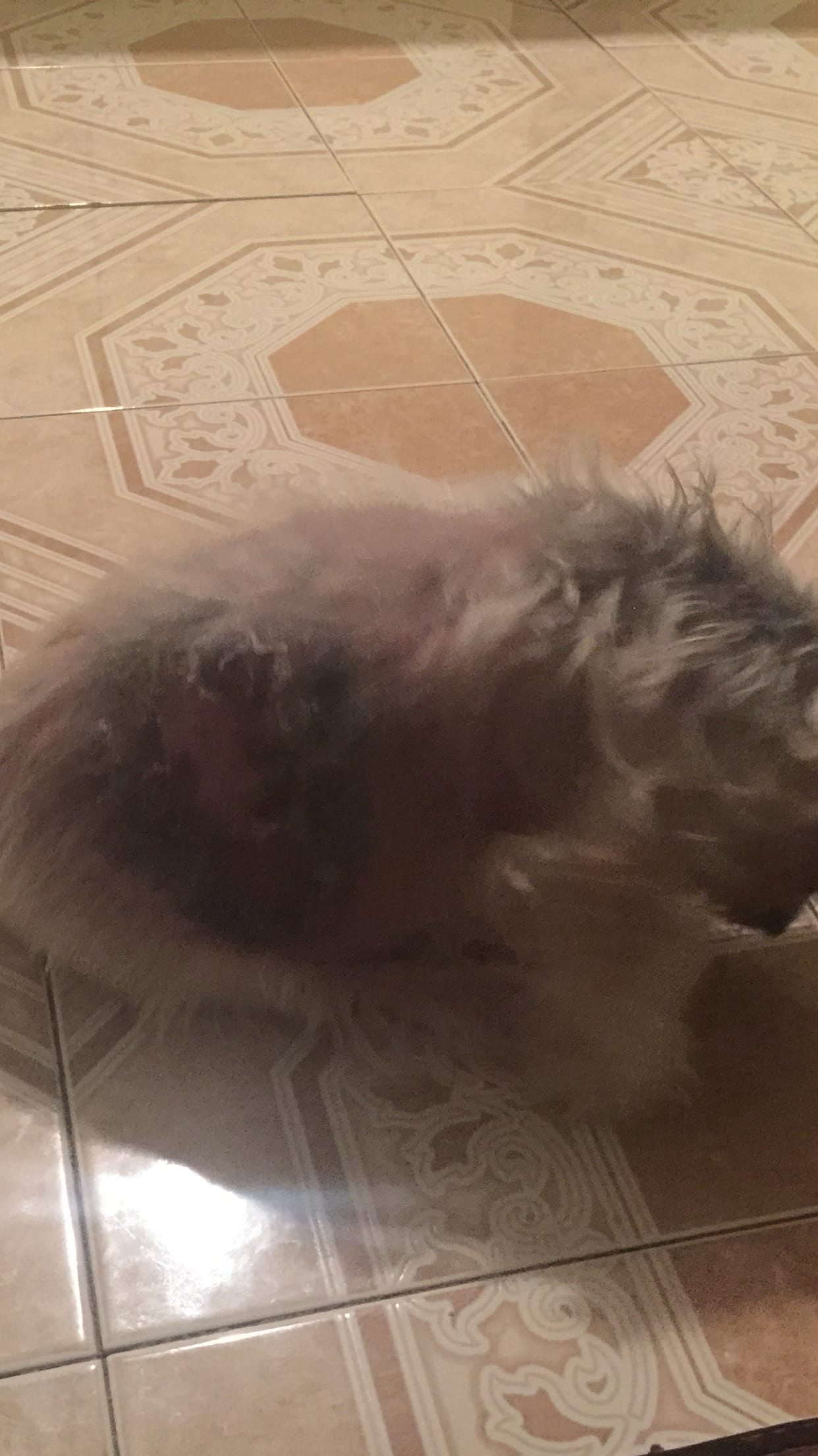 Question details sensitive content