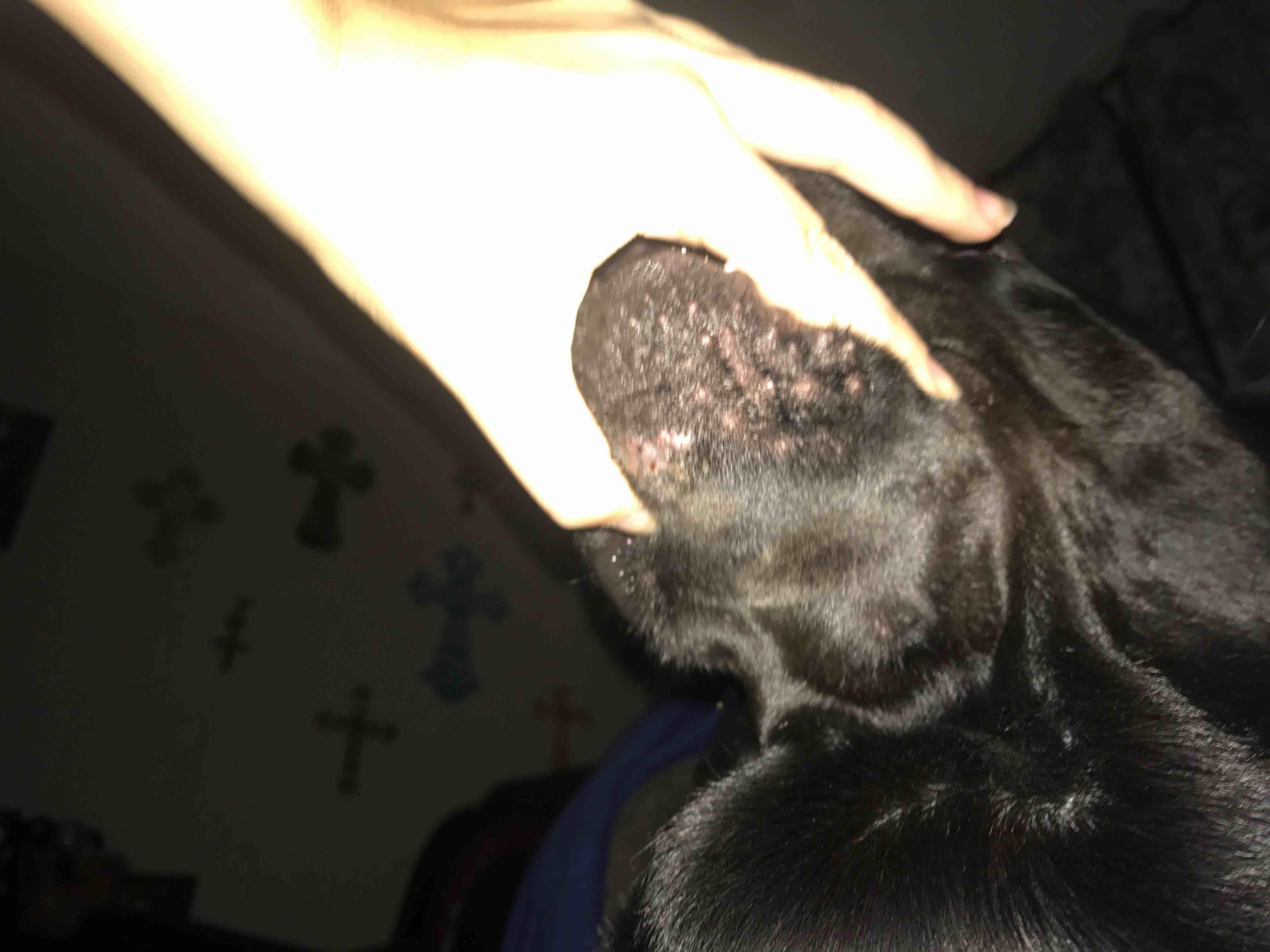 Question details sensitive content