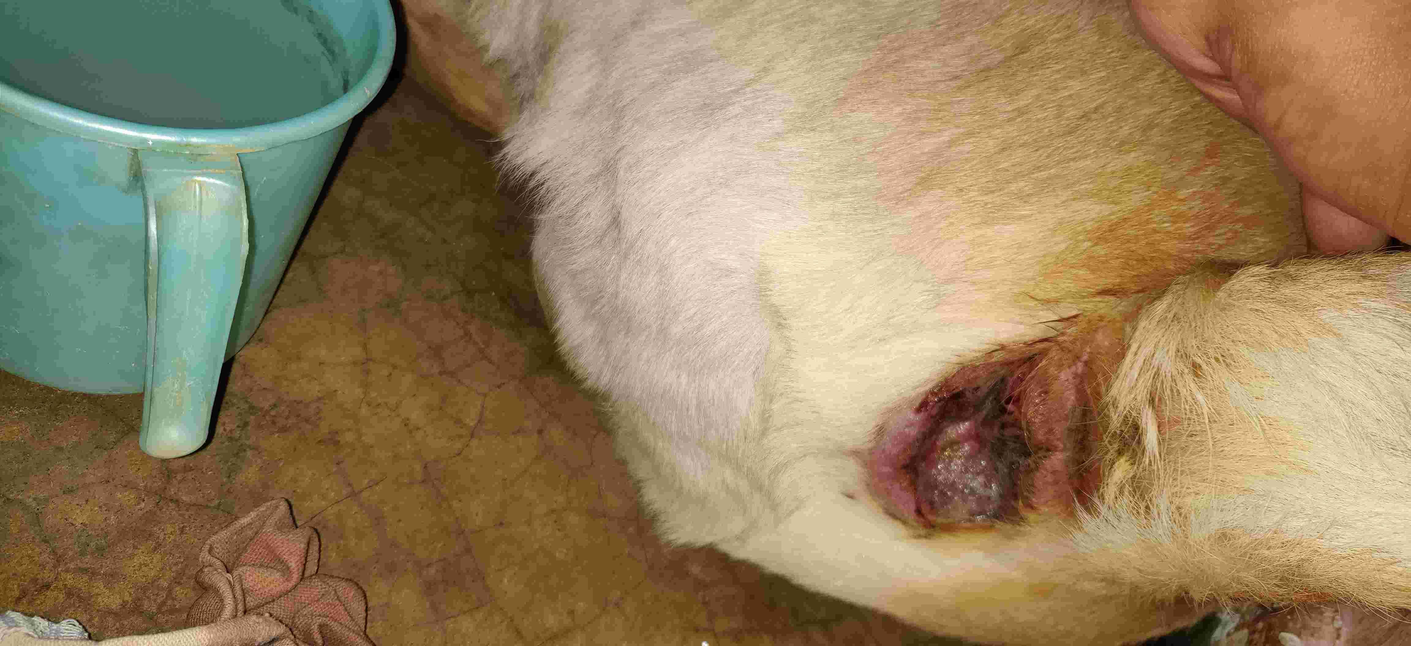 Question details sensitive content