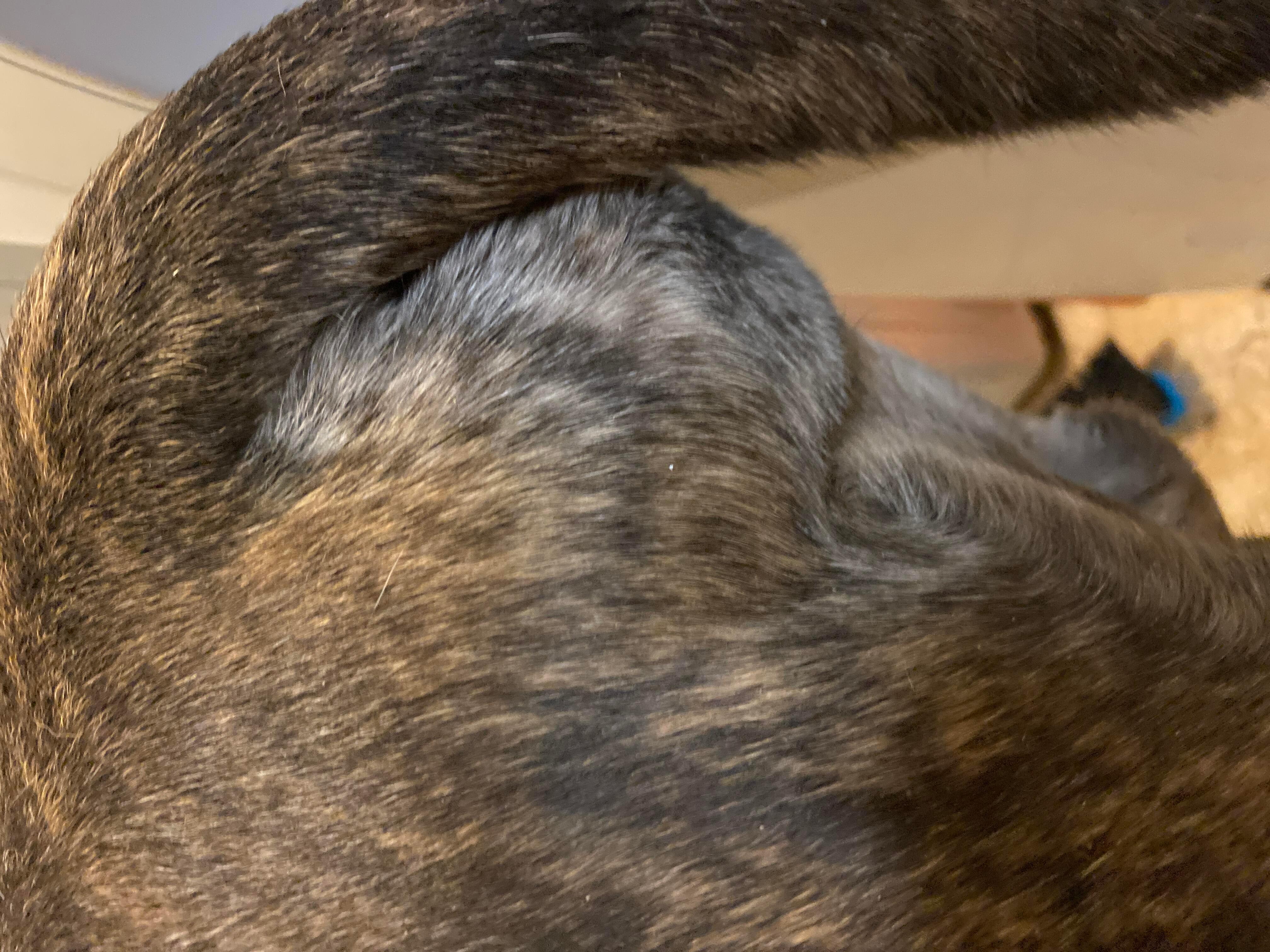 Question details sensitive content