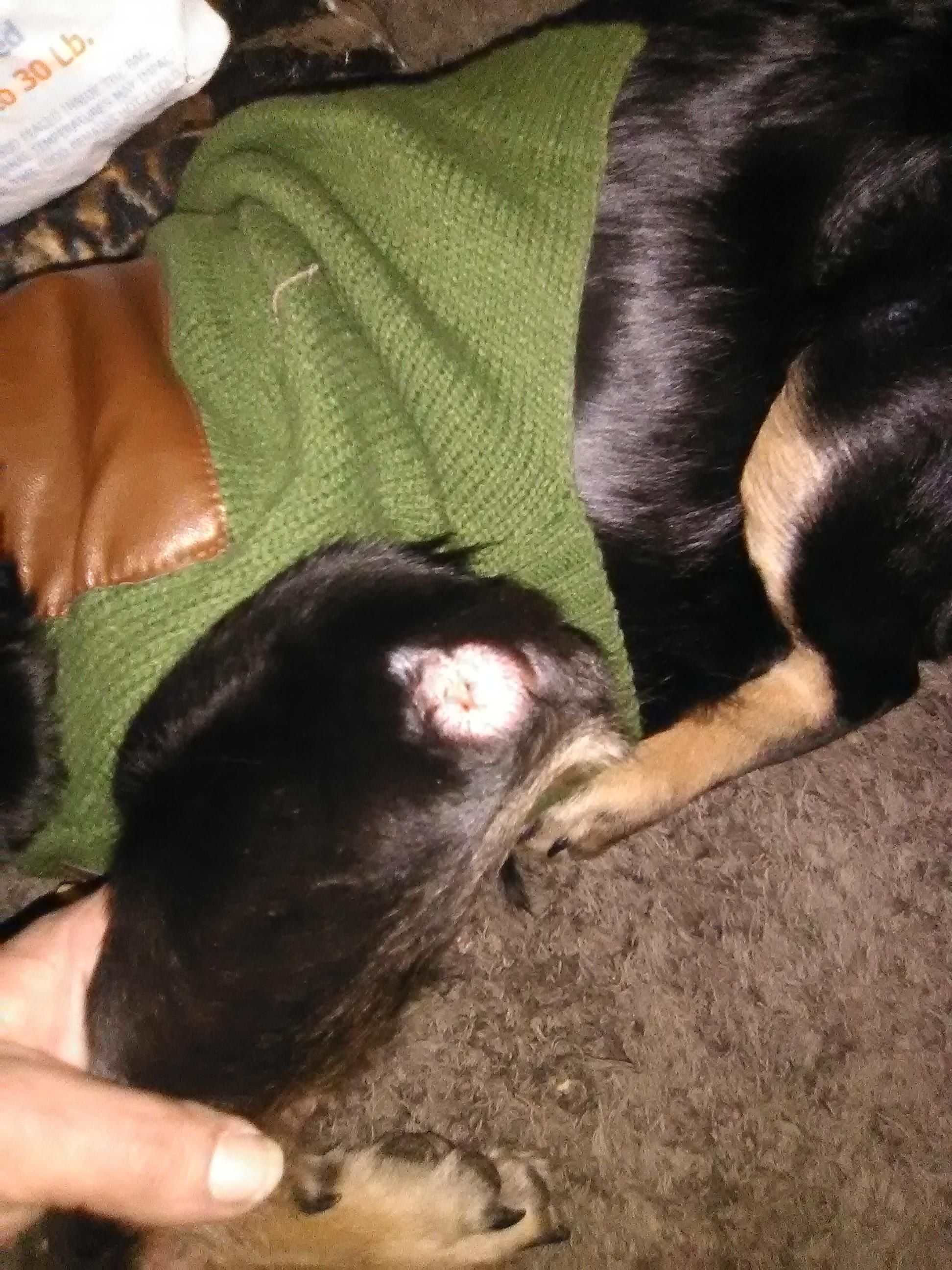 Question details sensitive content