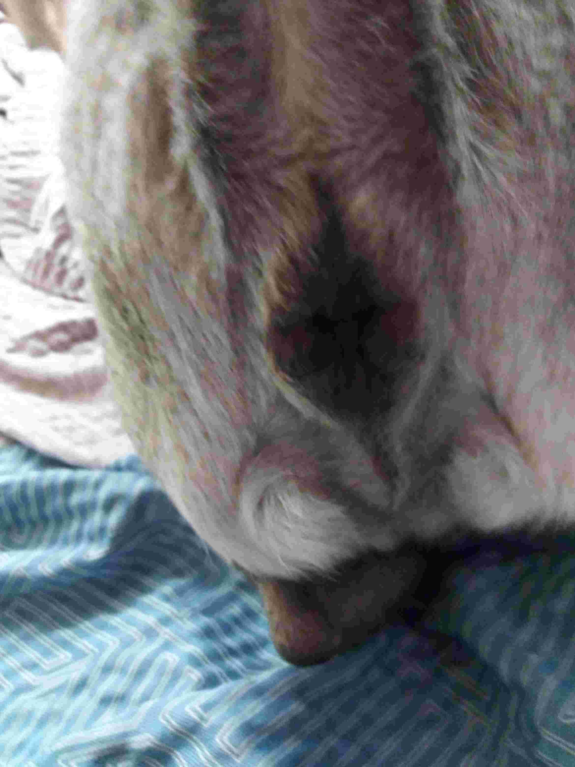 Question details sensitive content