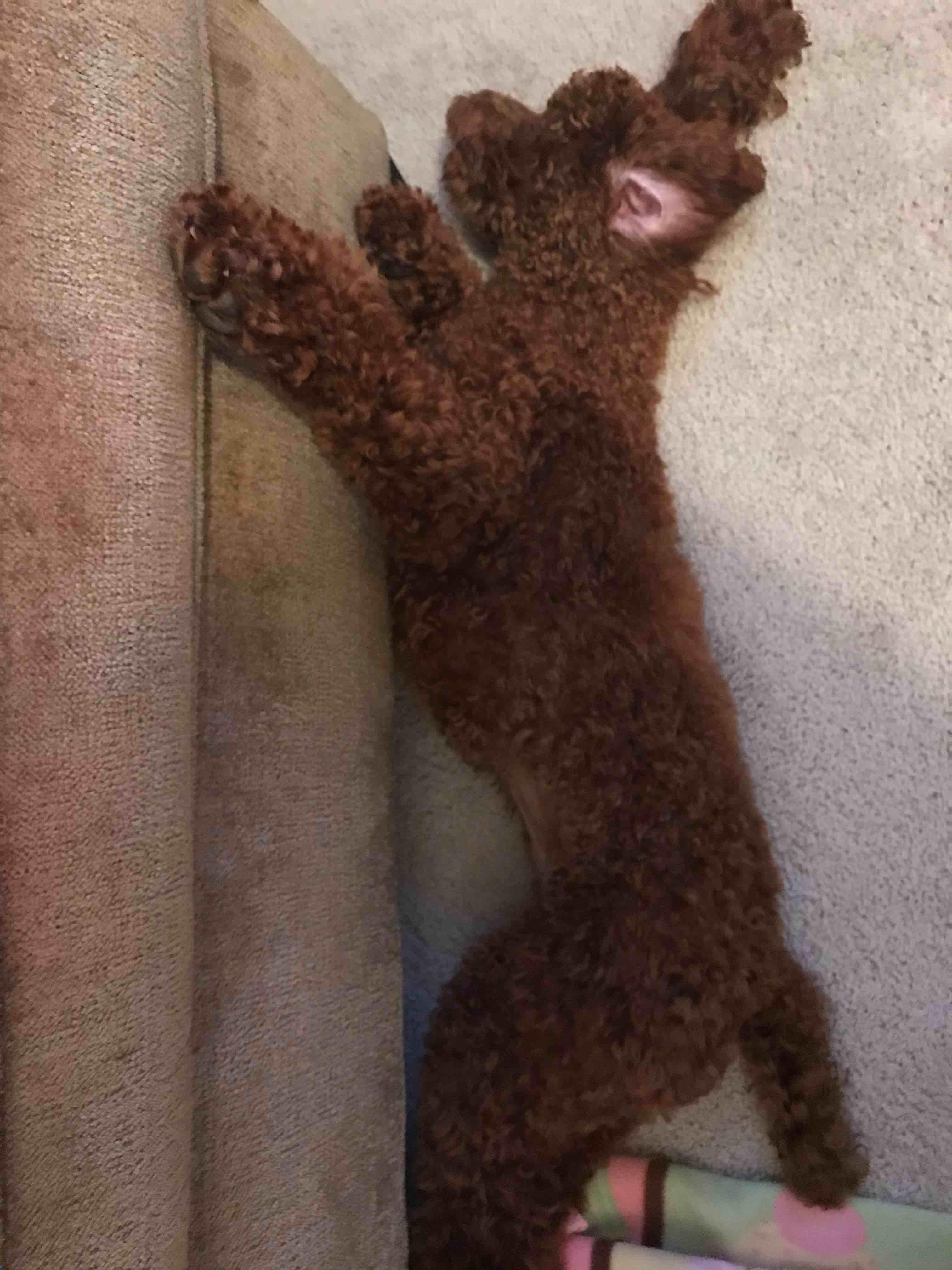 Question details sensitive content