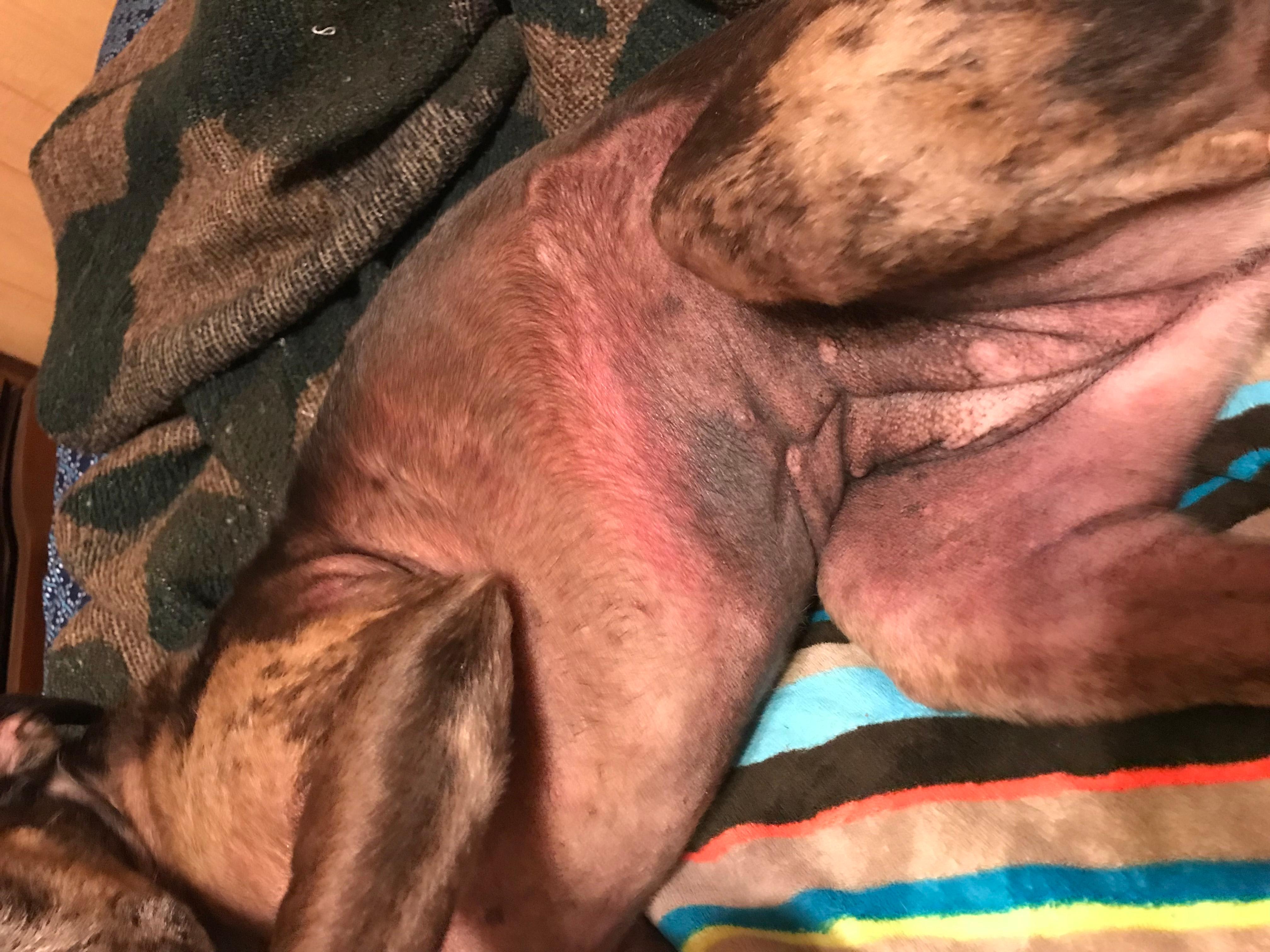 Question details sensitive content