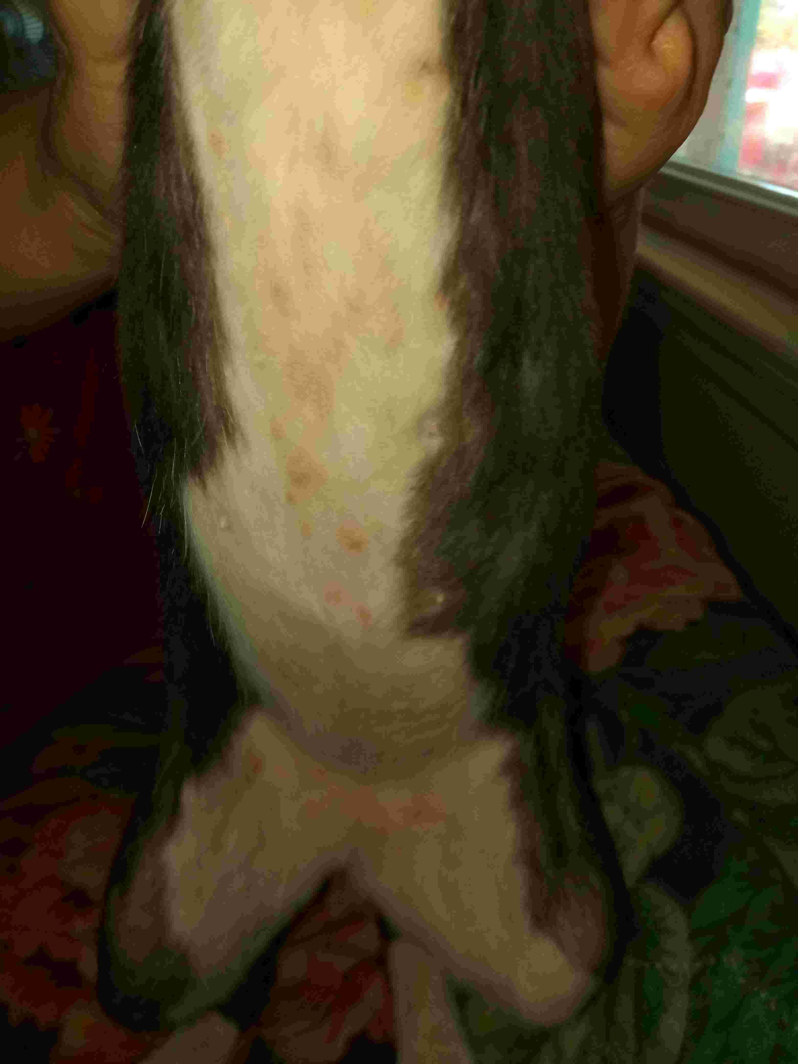 Question details sensitive content