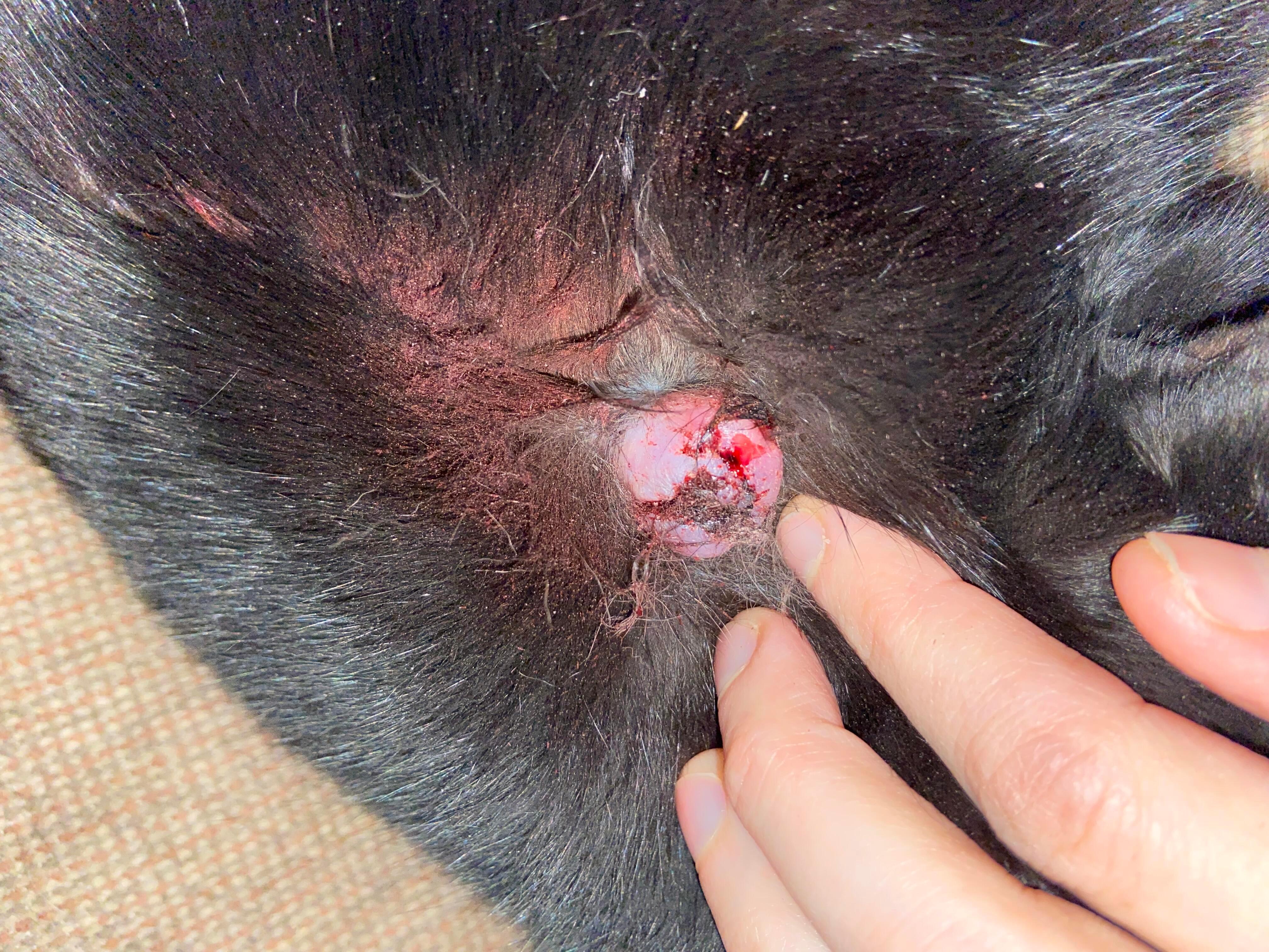 Question details sensitive content