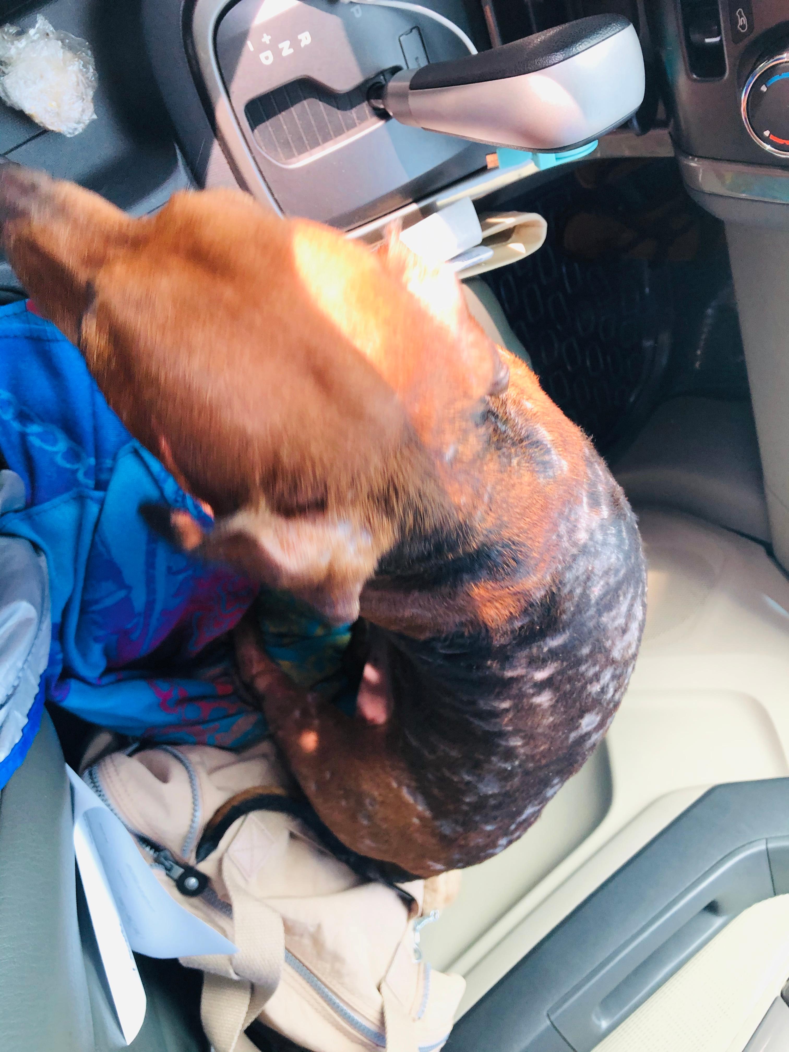 Question details sensitive content