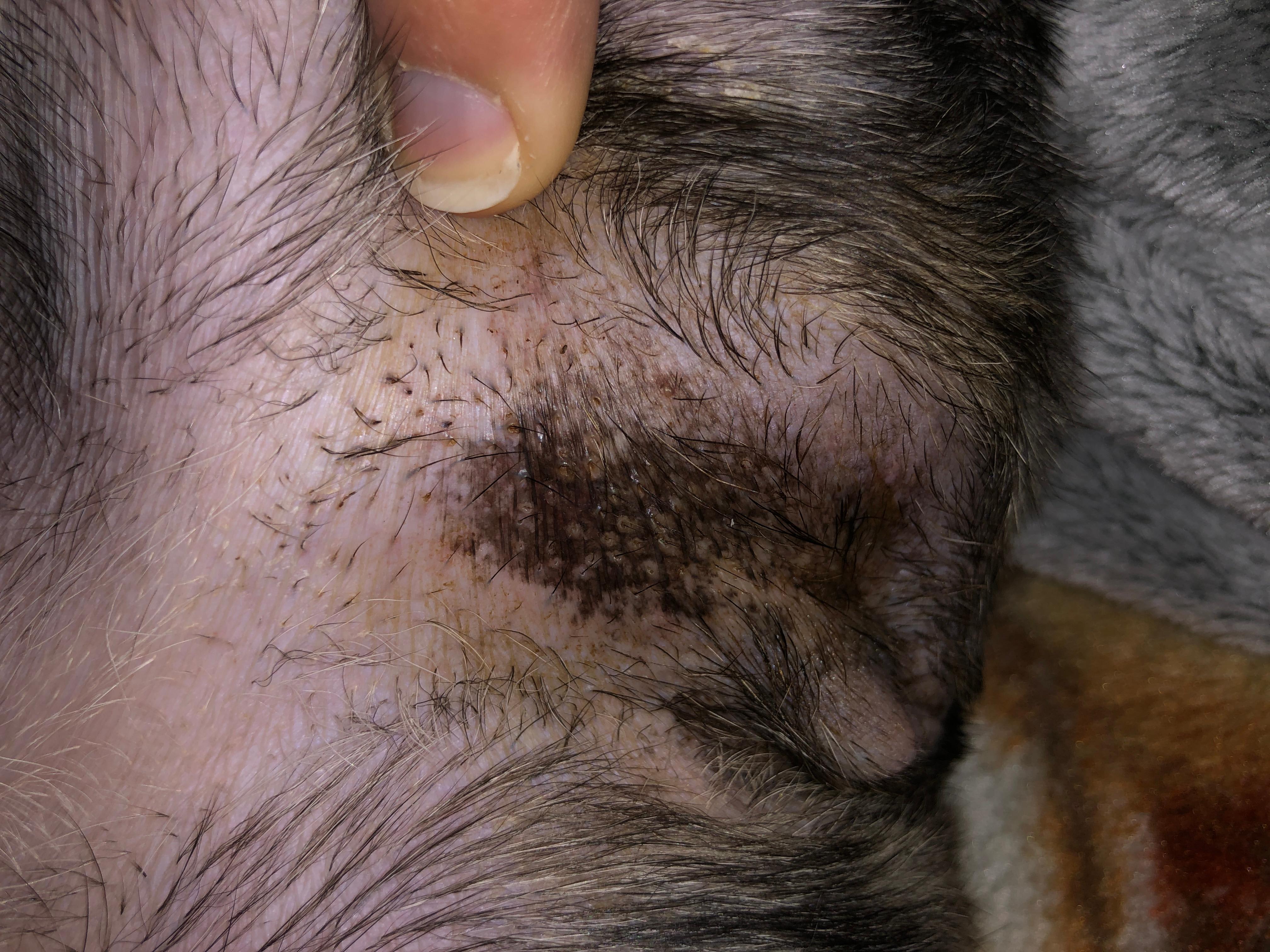 Question details sensitive content