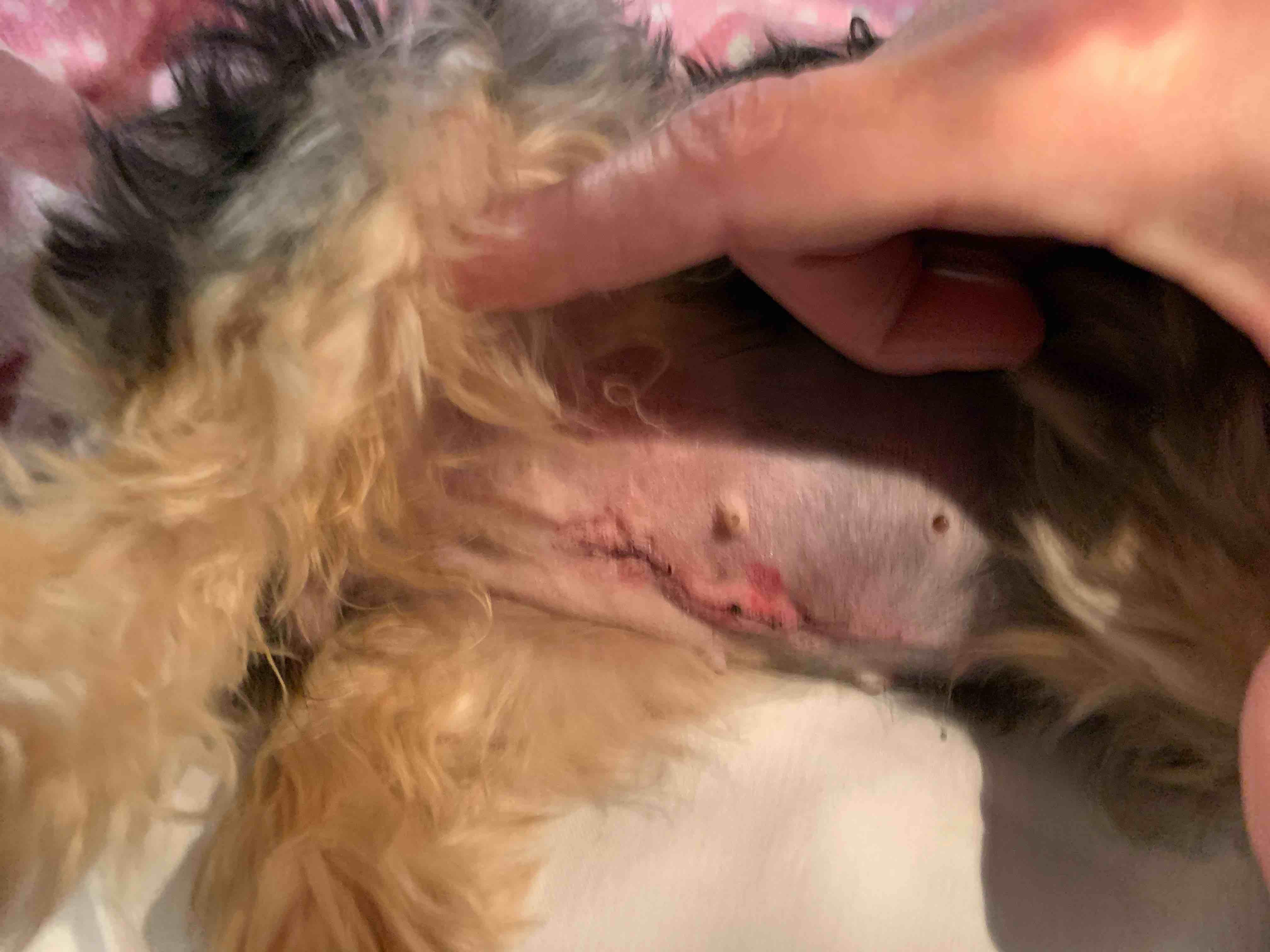 Question details sensitive content