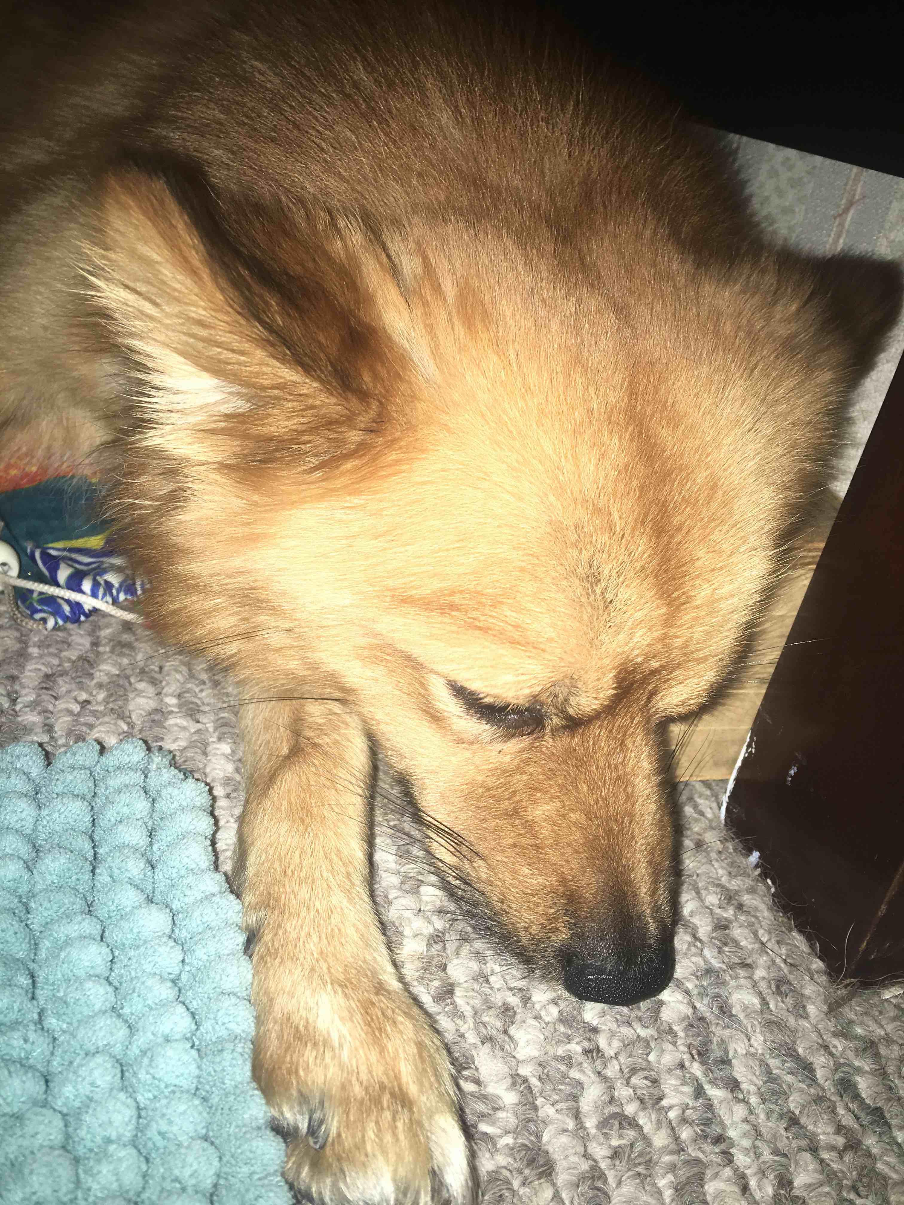 Question details sensitive content