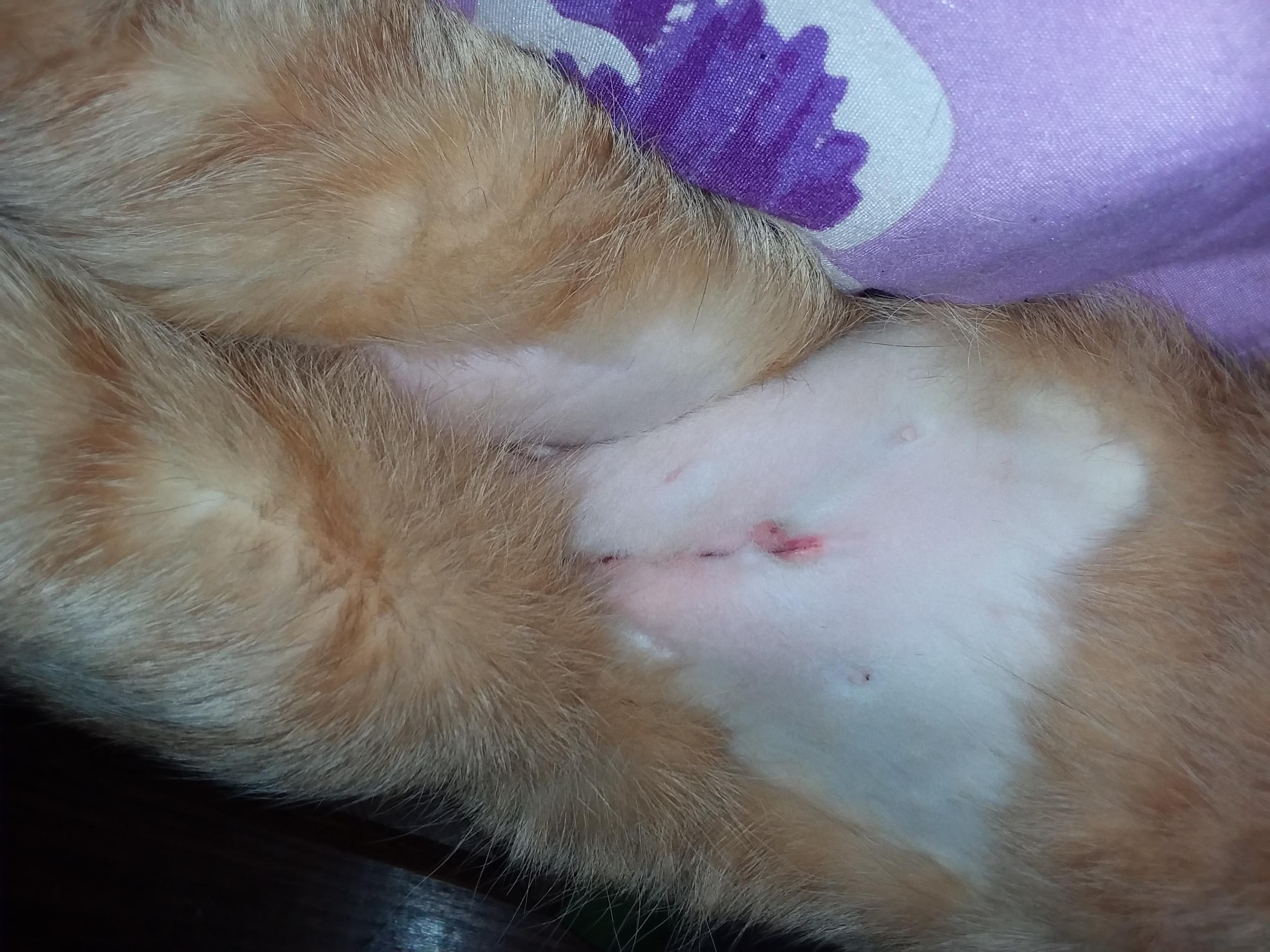 Question details sensitive content